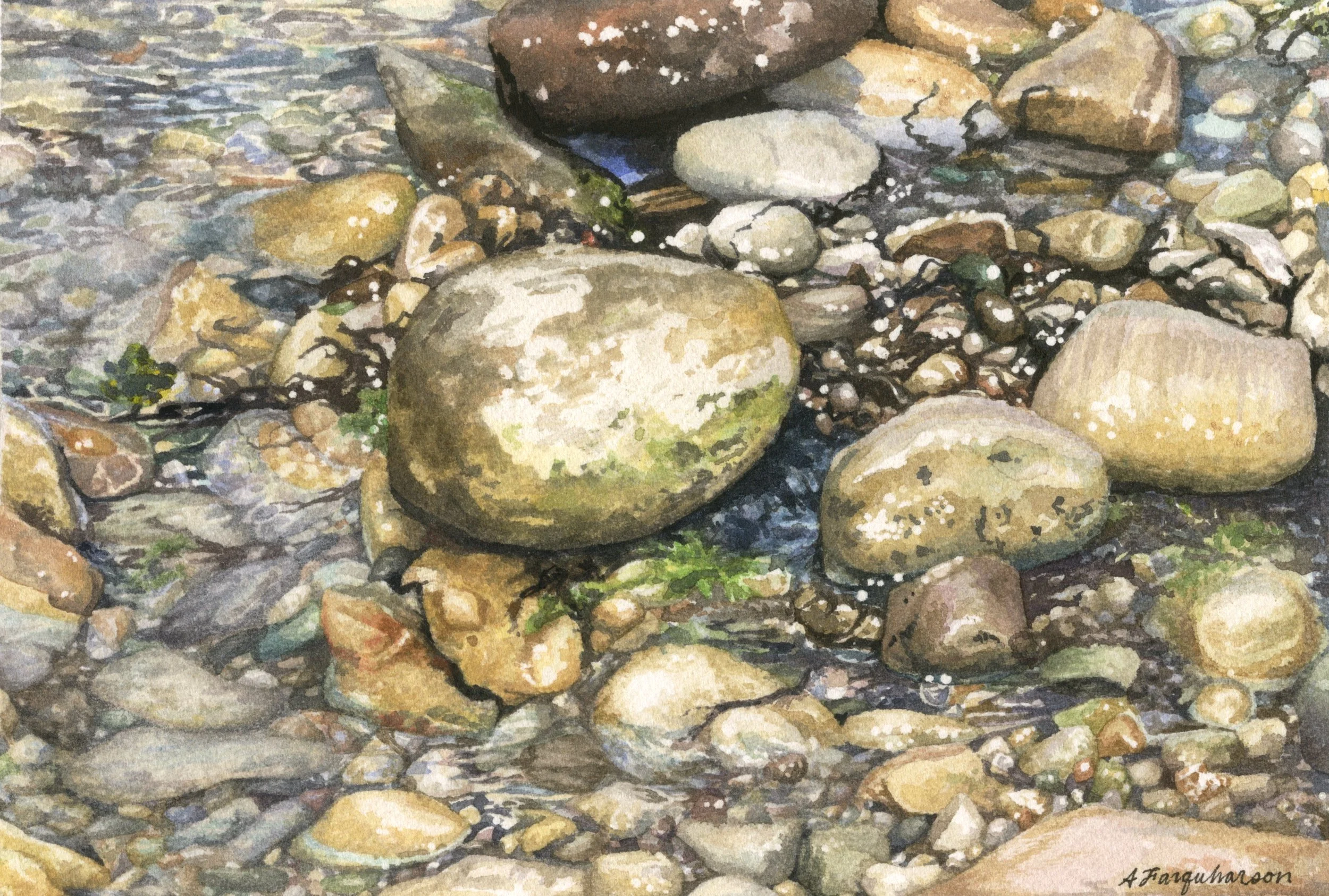 Rocky Lake Huron Shoreline - 2025 - Amanda Farquharson.jpg