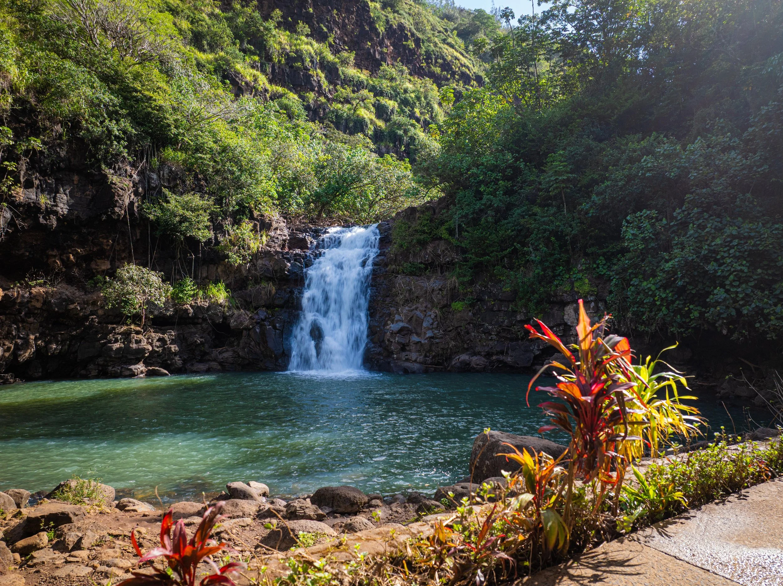 waterfall rushing down at an open space surrounded by lush green trees