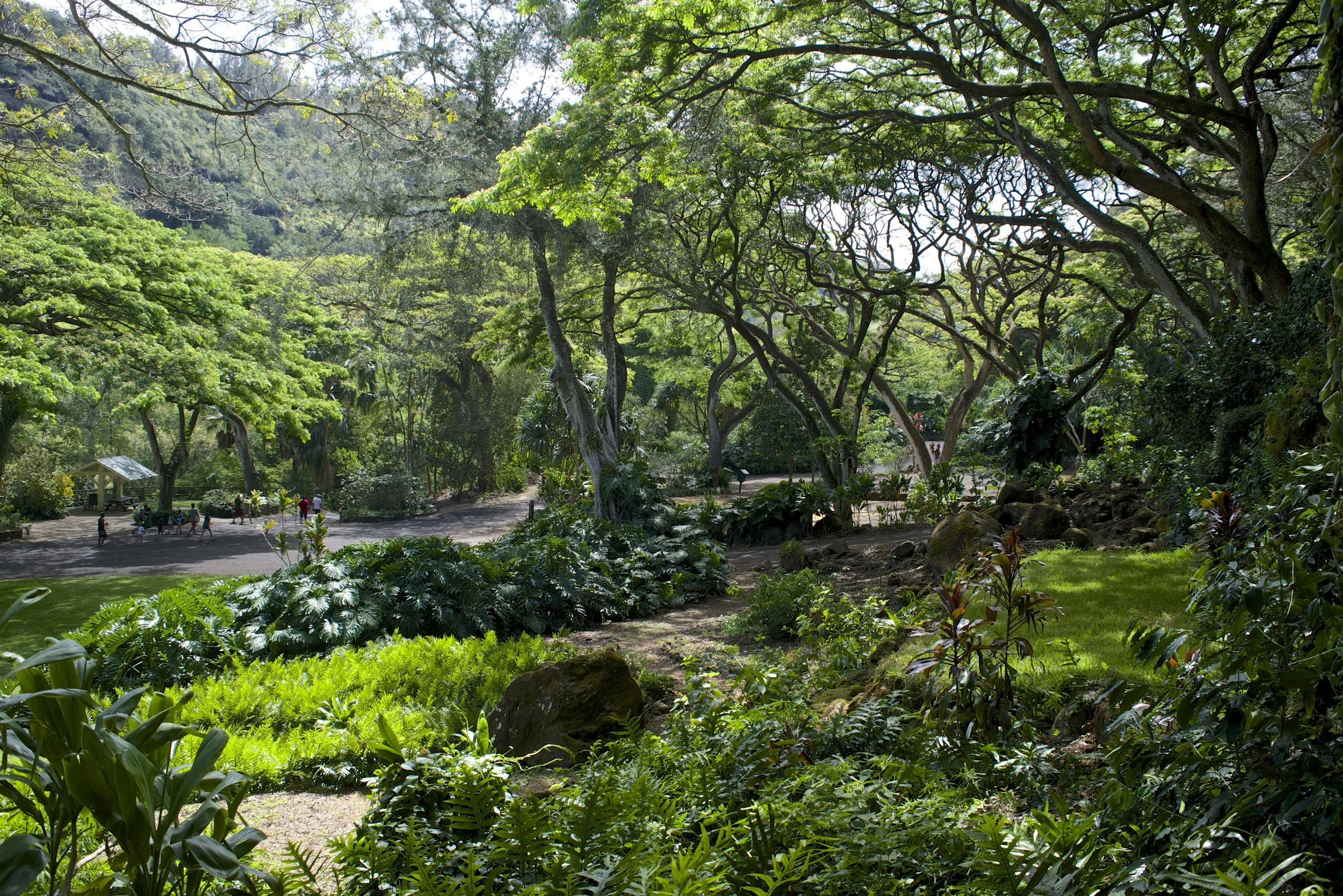 Scenic landscape with a large stream surrounded by tall, lush green mountains under an overcast sky at Waimea Valley in North Shore Oahu, Hawaii.