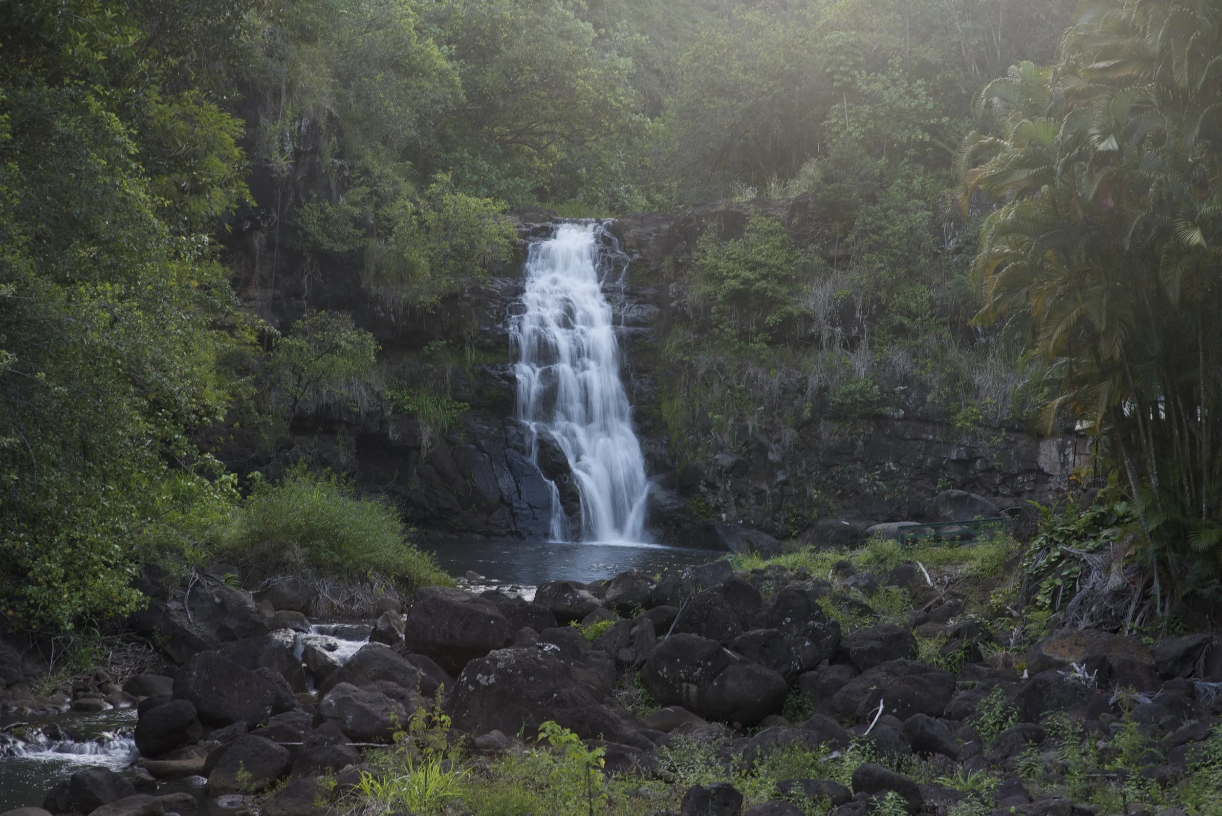 Kahuna Nui Hewahewa Day