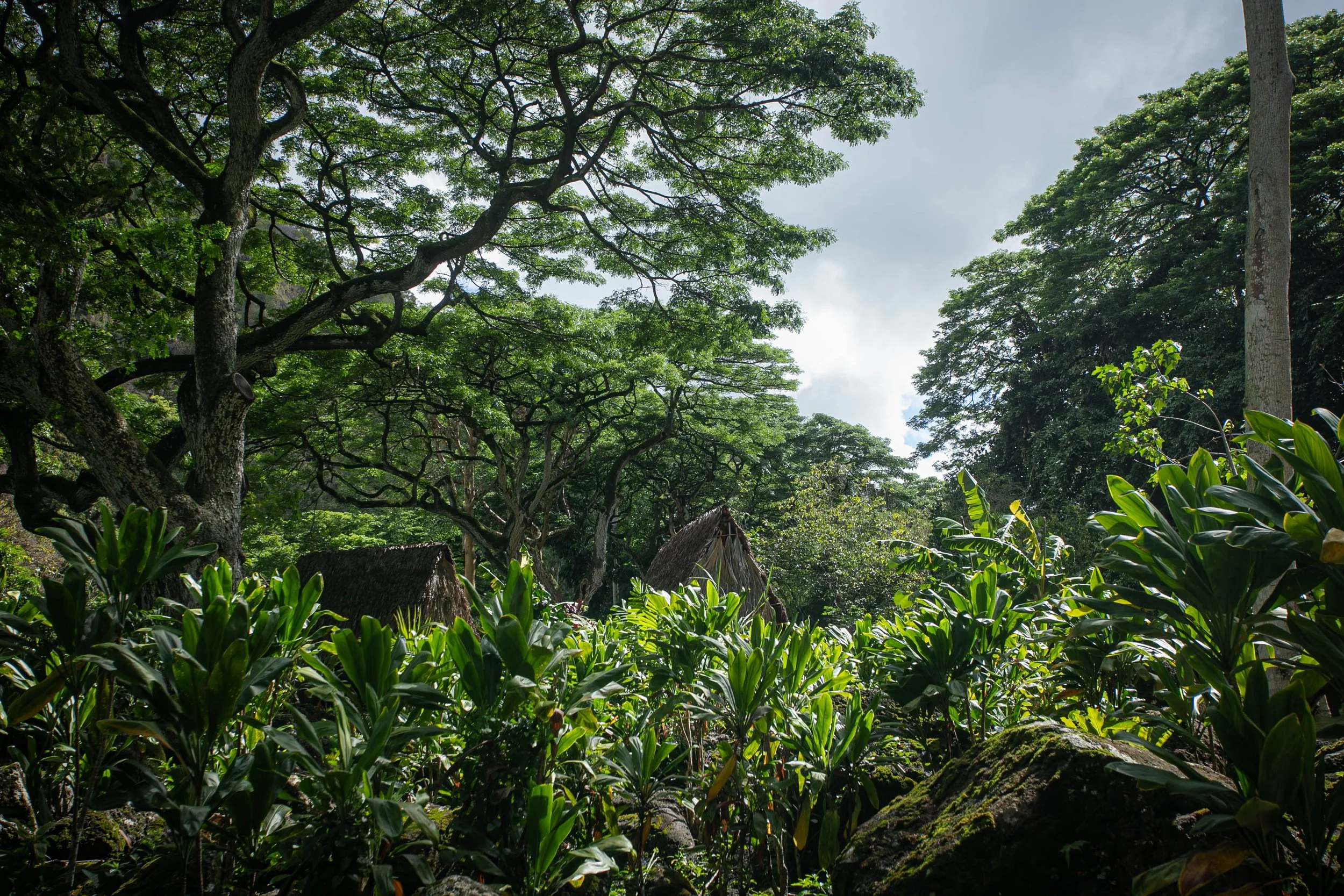 Prince Lot Kapua‘iwa’s Birthday 