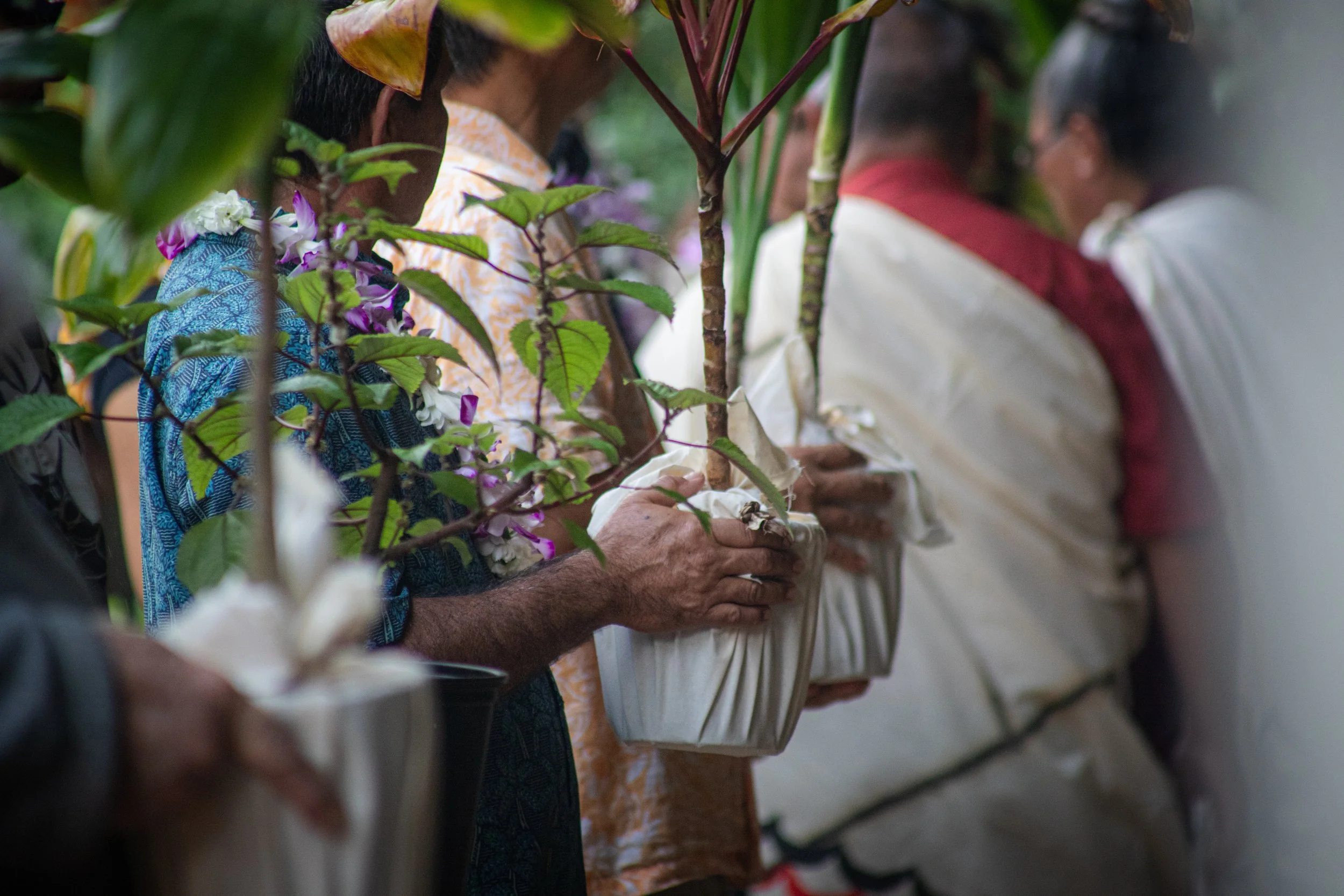 Waimea Valley (Oʻahu) Blessing of Indigenous Community Economic Resiliency Project