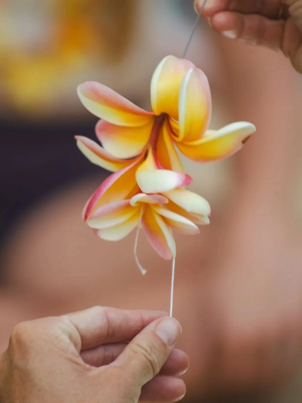 May Day Lei Day