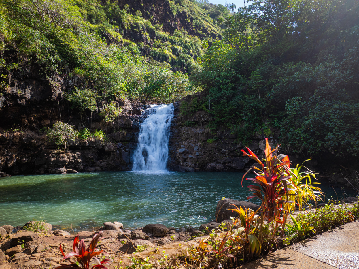 Waimea Valley, Oʻahu Recognized as One of the Beautiful Hawaiian Swimming Holes by The New York Times