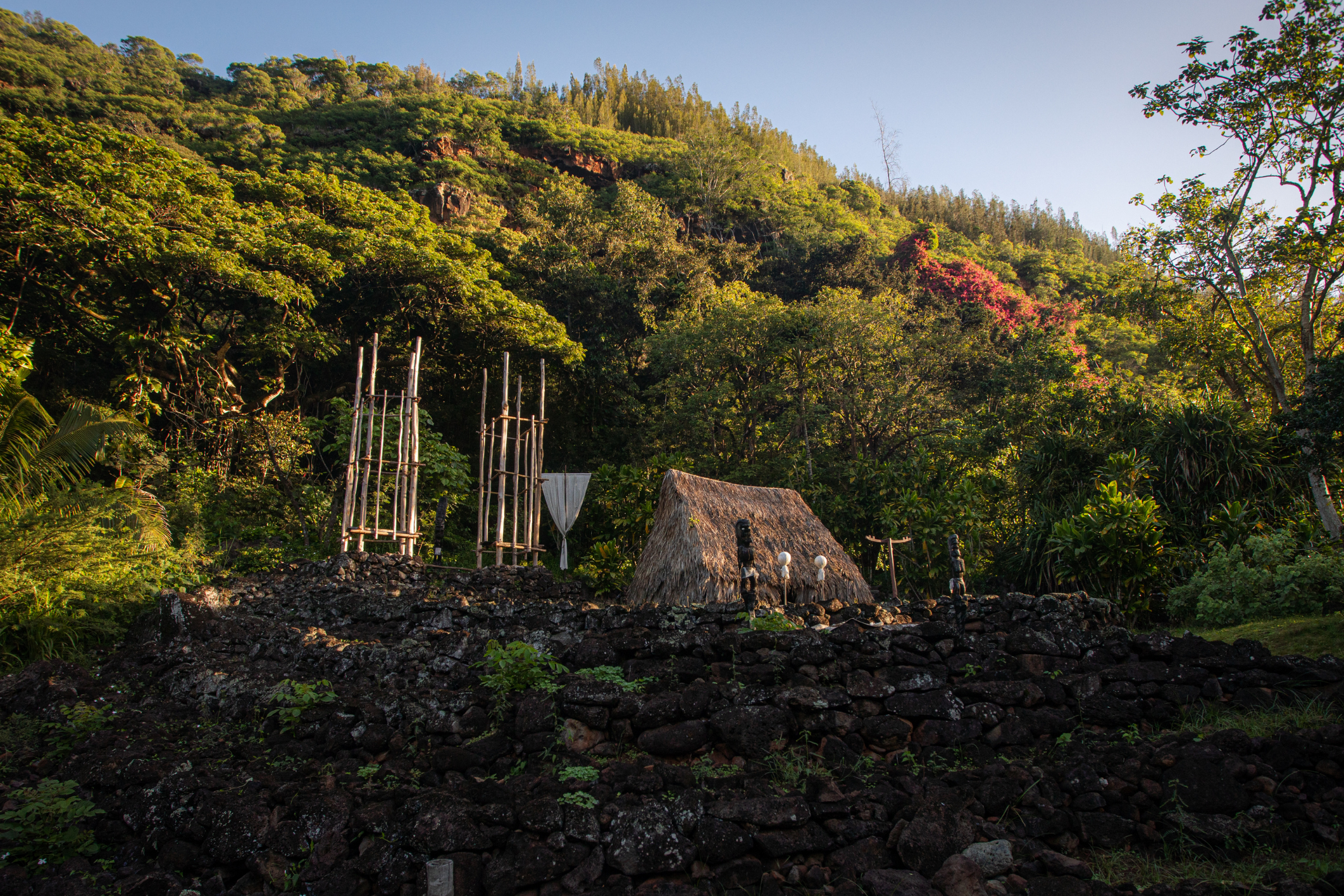 Read the Latest Ka Wai Ola Feature: Waimea Valley: A Cultural Treasure of the Highest Order