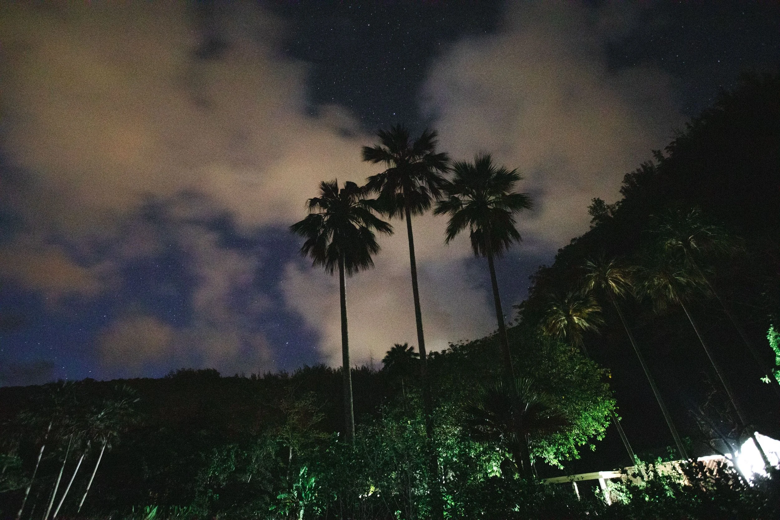 Waimea Valley Featured in Travel Weekly: Discover Fall Activities