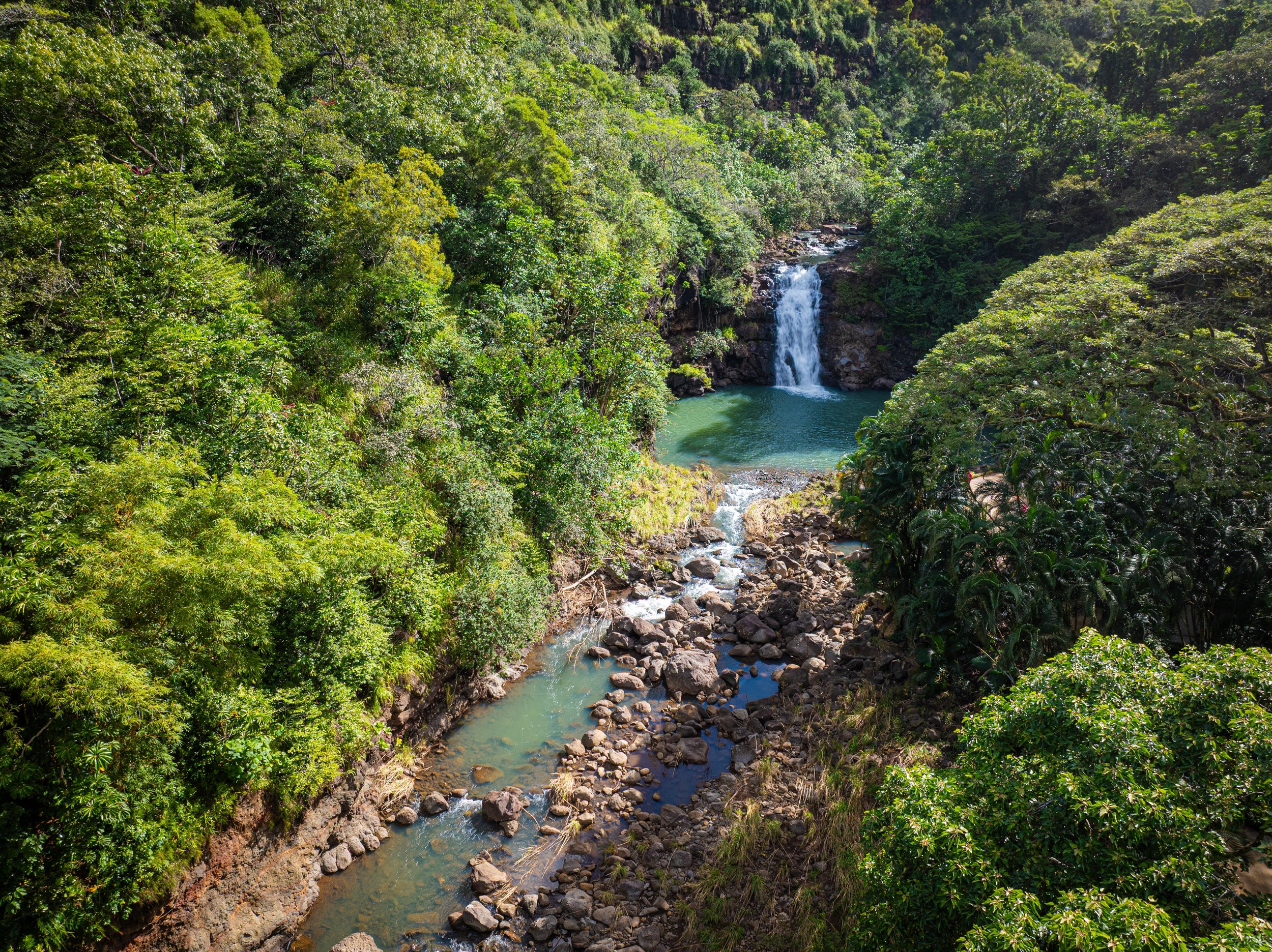 DJI_0102.jpg