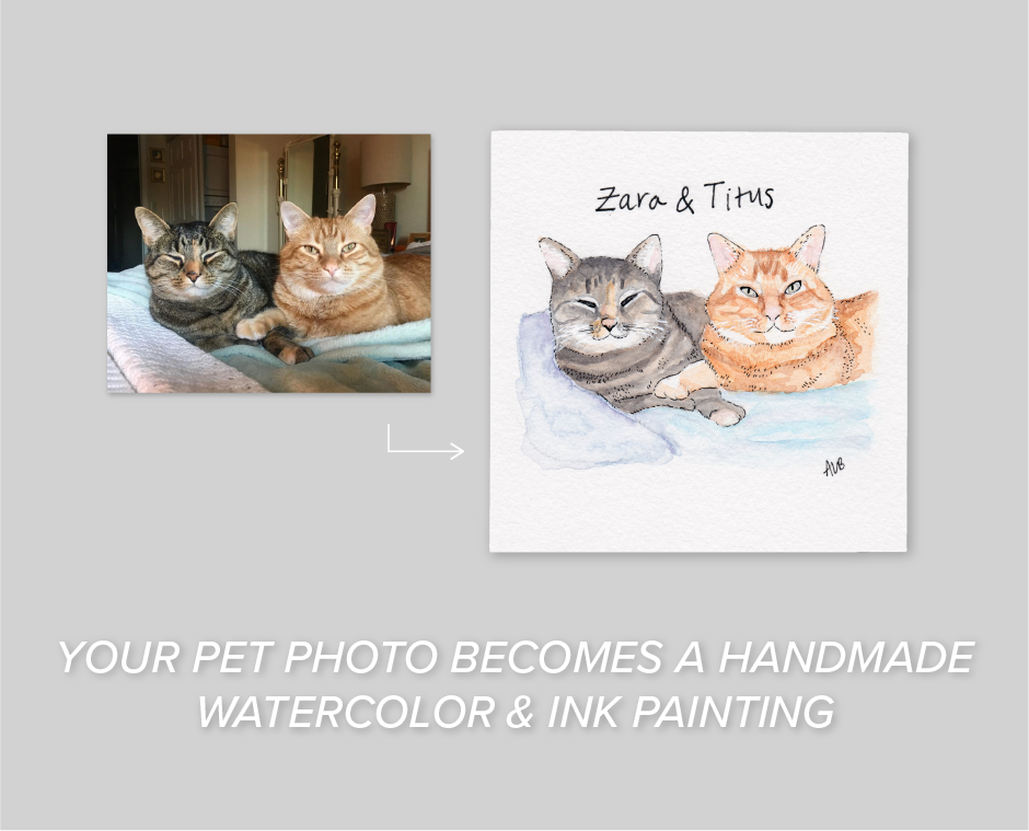 PP_web-feature-05.png