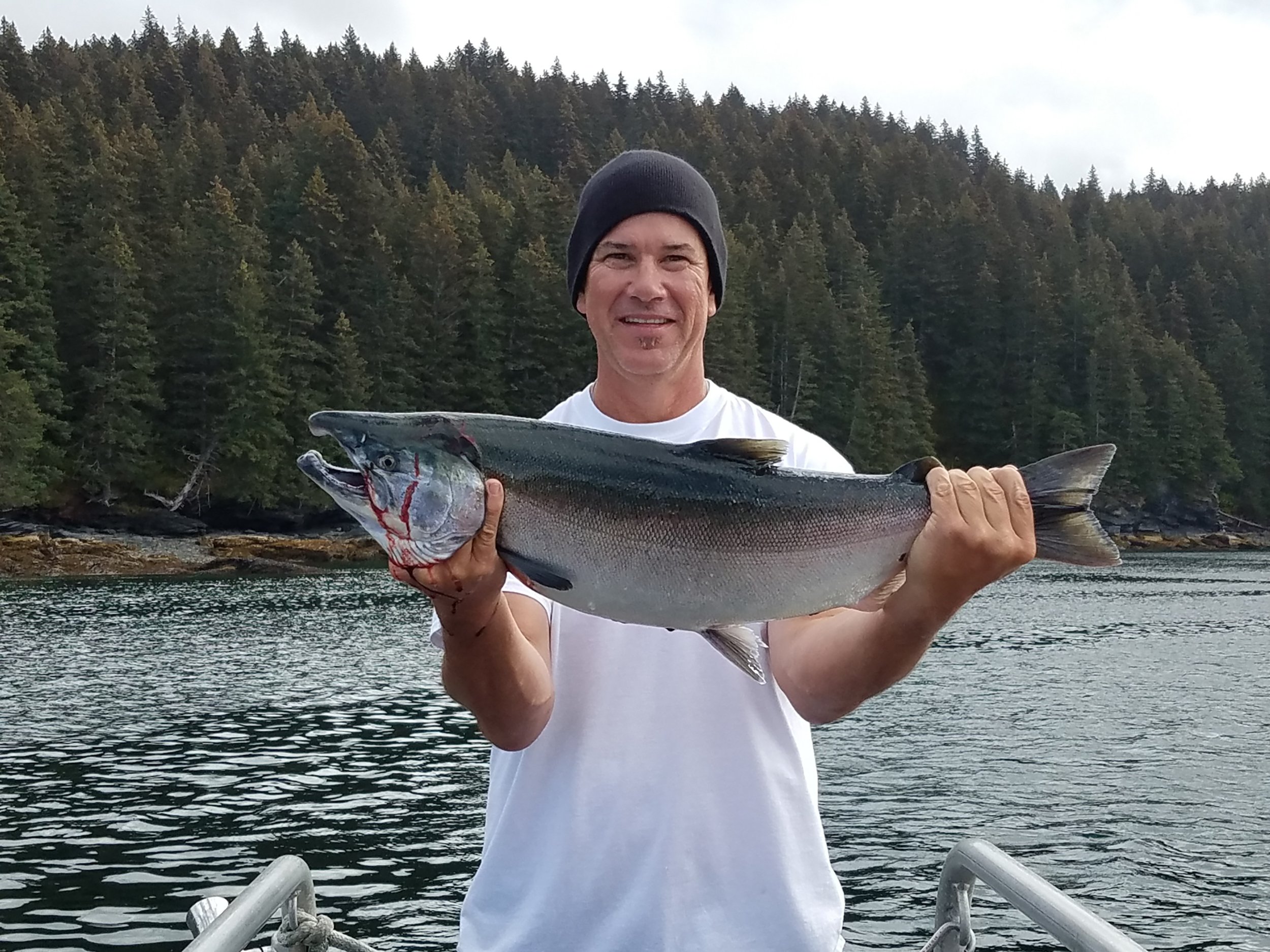 Nice silver salmon