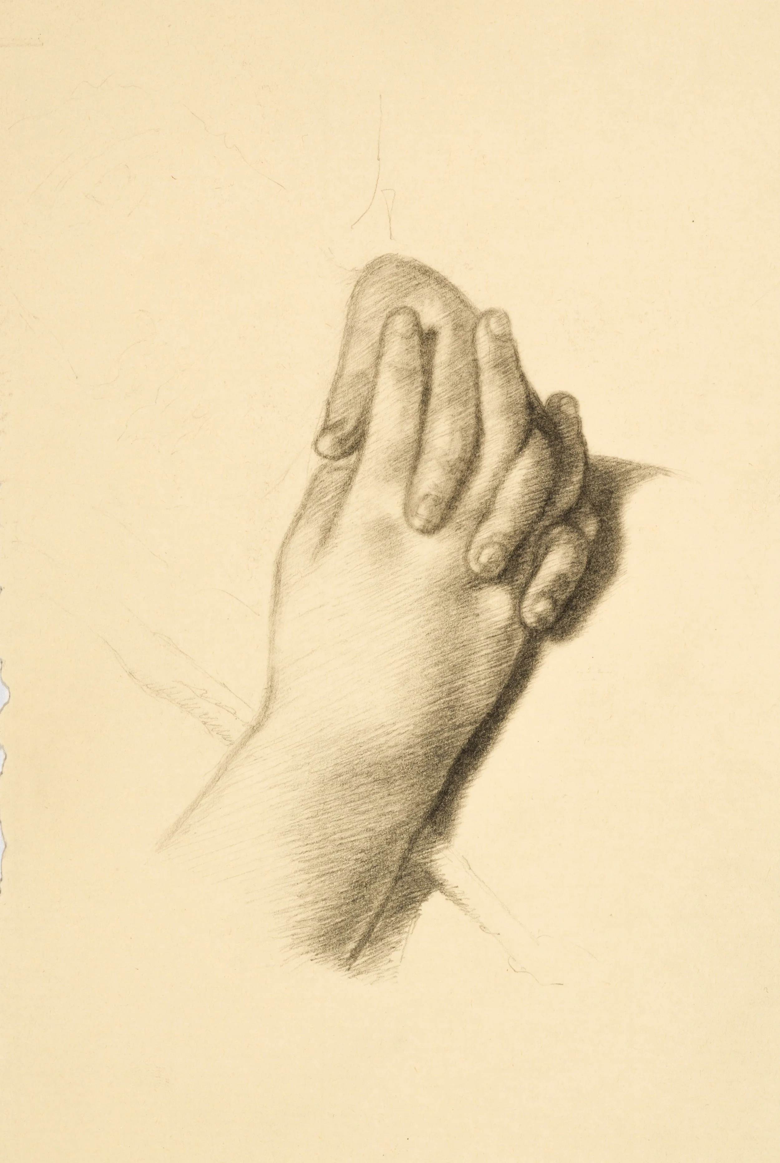 Museum Drawings — Matthew Gallagher