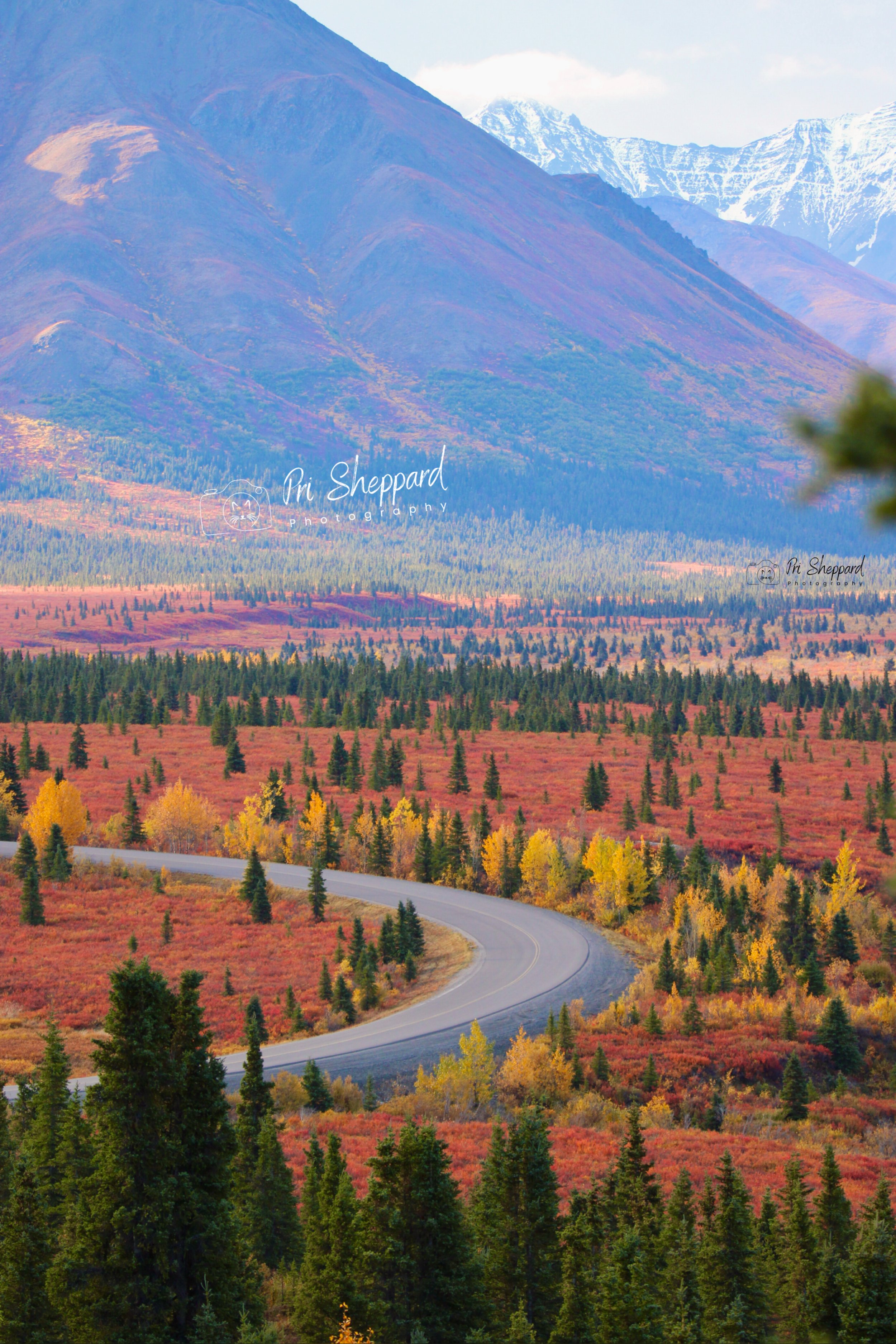 Denali Park