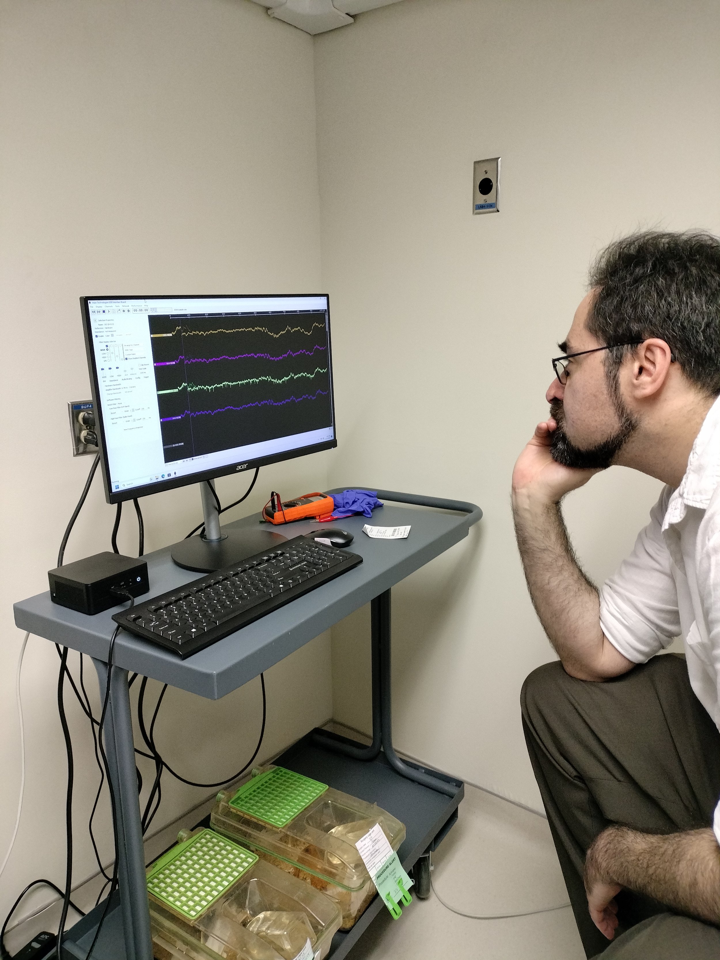 MeCo Lab's first LFP recordings