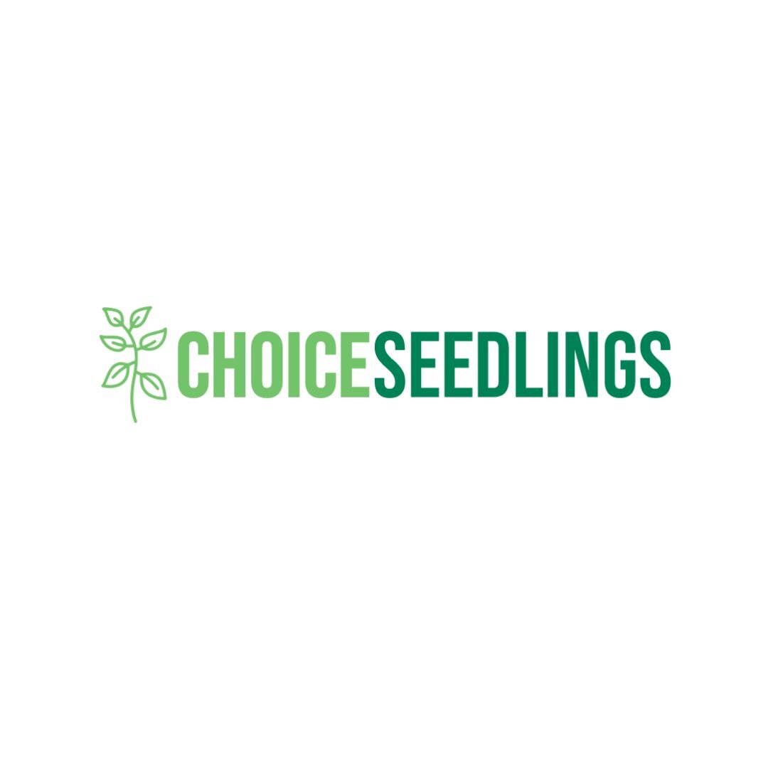 Thank you for choosing Choice Seedlings, and for helping us grow a more vibrant and sustainable future for all. 🌱💚 #NSW #ChoiceSeedlings #SustainableLiving