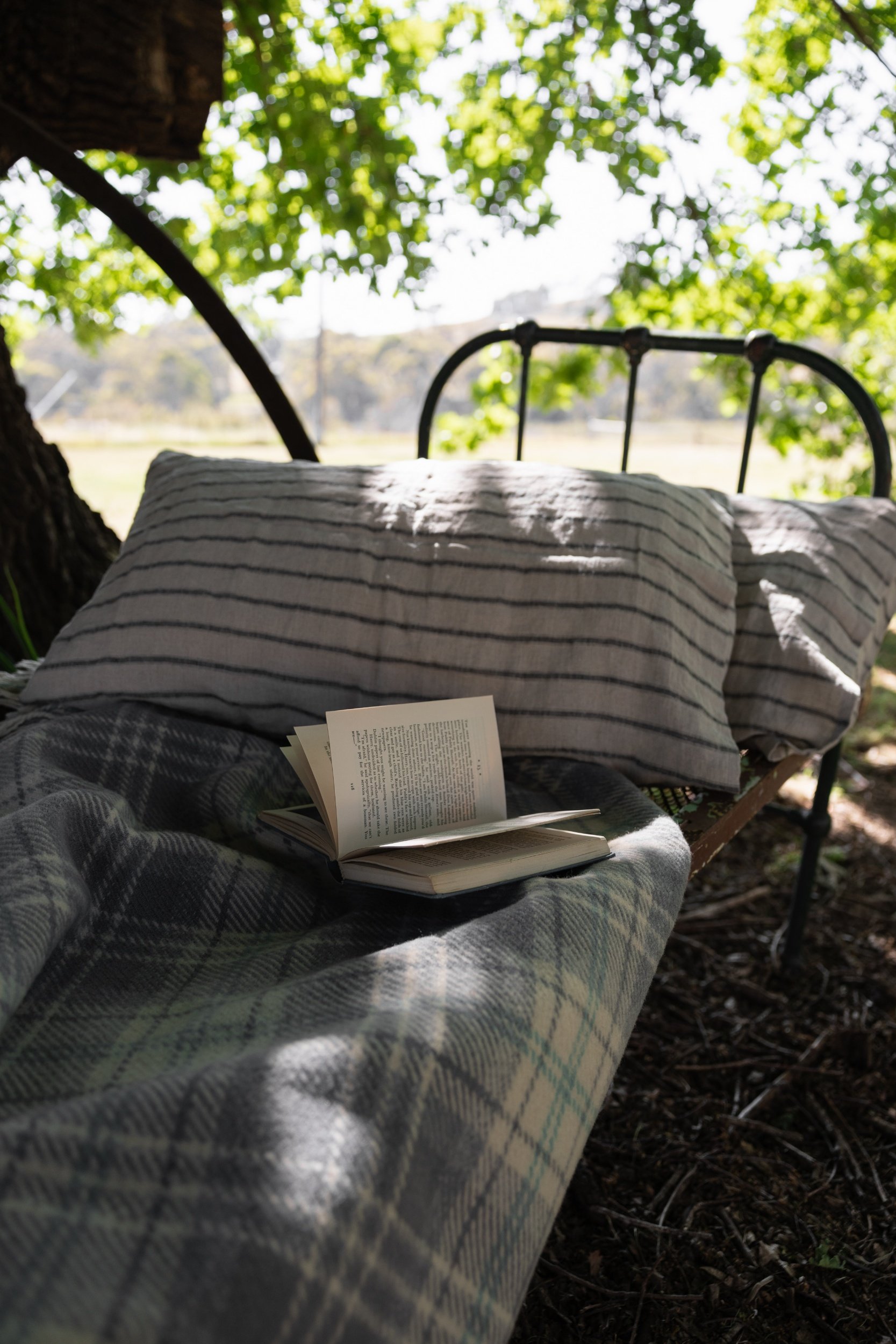 Outdoor relaxing under shady oak tree