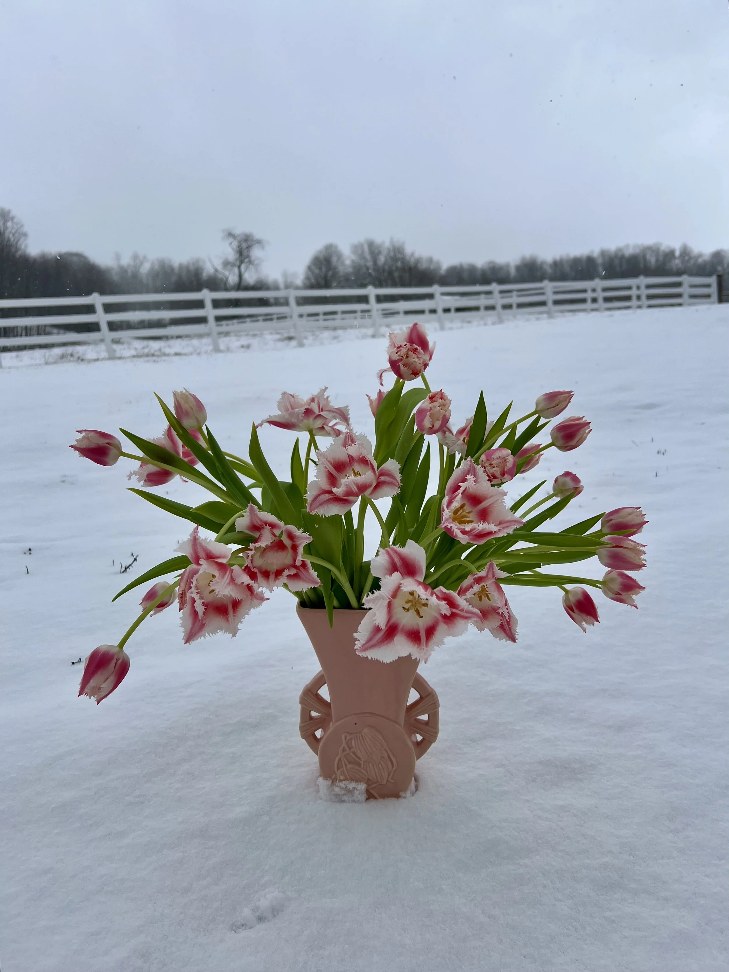 Vase in snow.jpeg