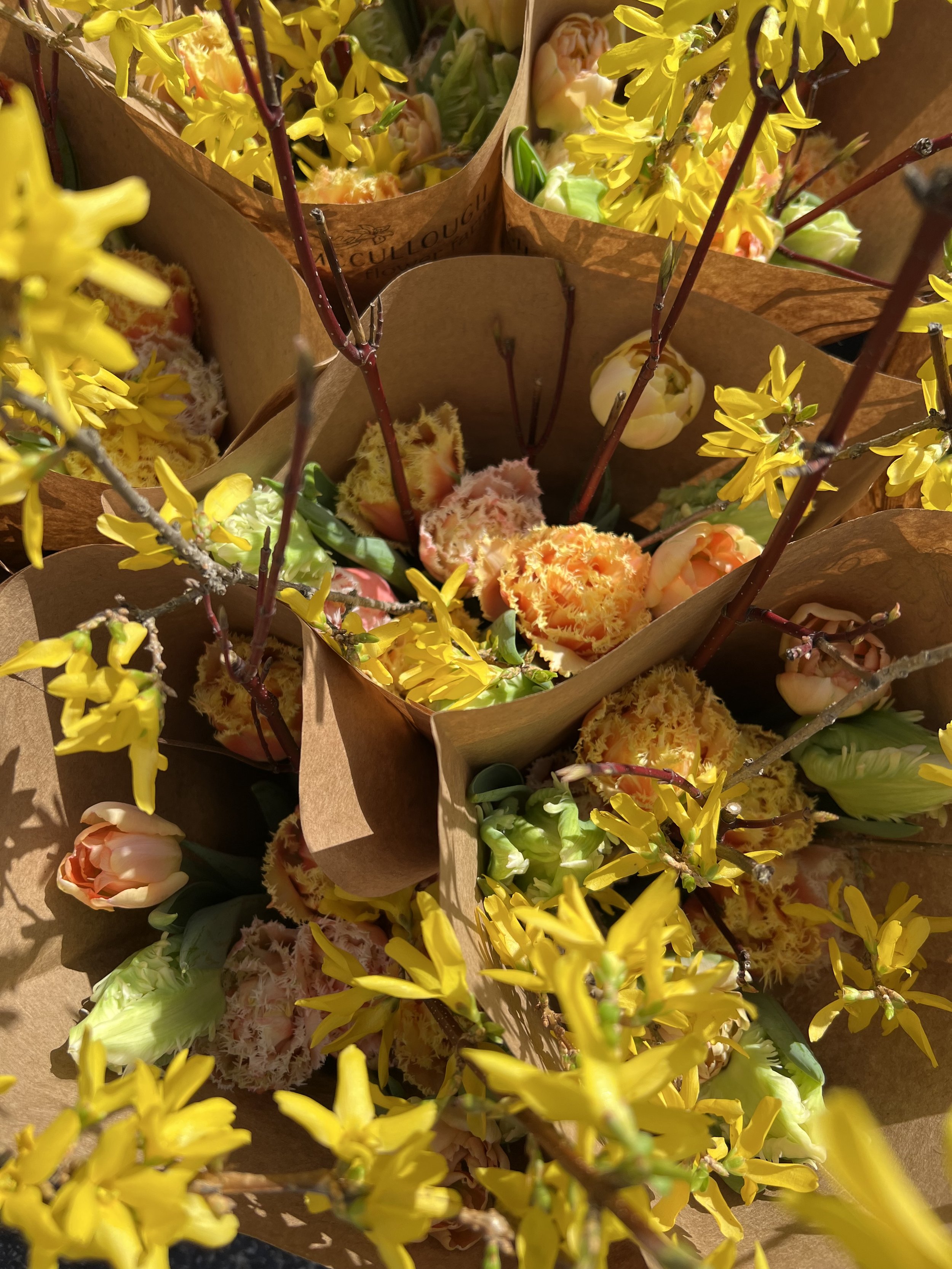 April Spring CSA 2025.jpeg