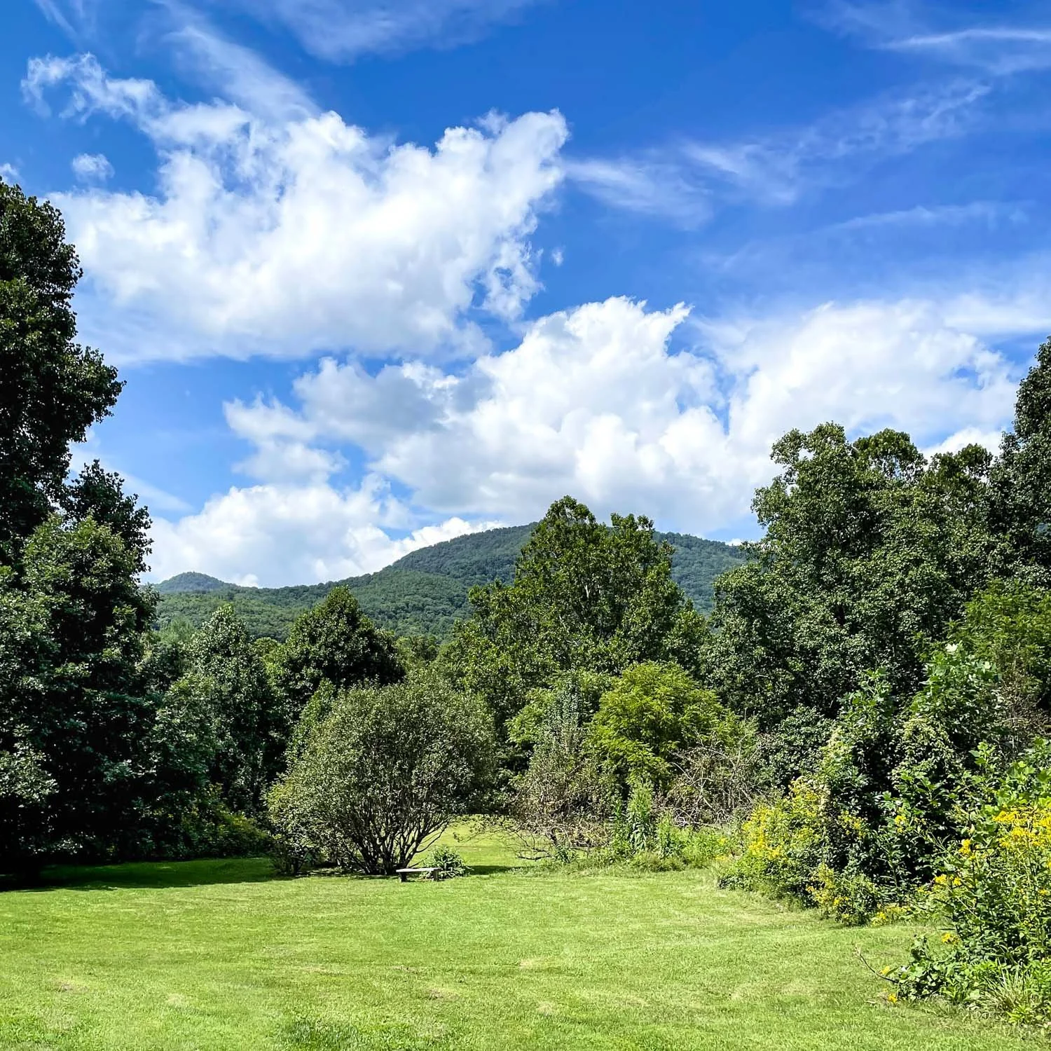Corporate, Faculty and Creative Retreat Event Venue, Black Mountain, North Carolina (8 of 15).JPG