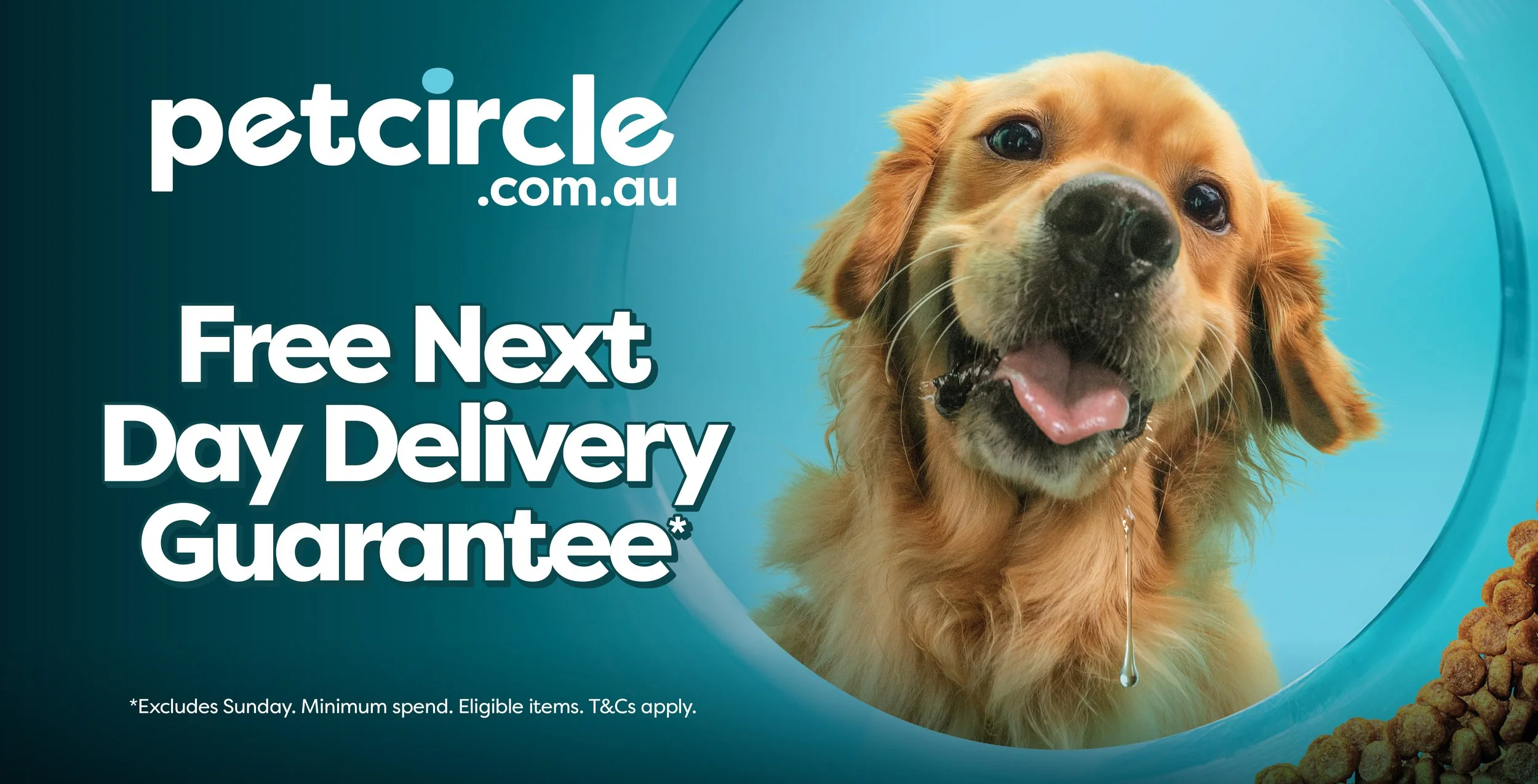 Pet circle bus campaign 2026 photographer nick gascoine sydney australia commercial photographer 004.jpg