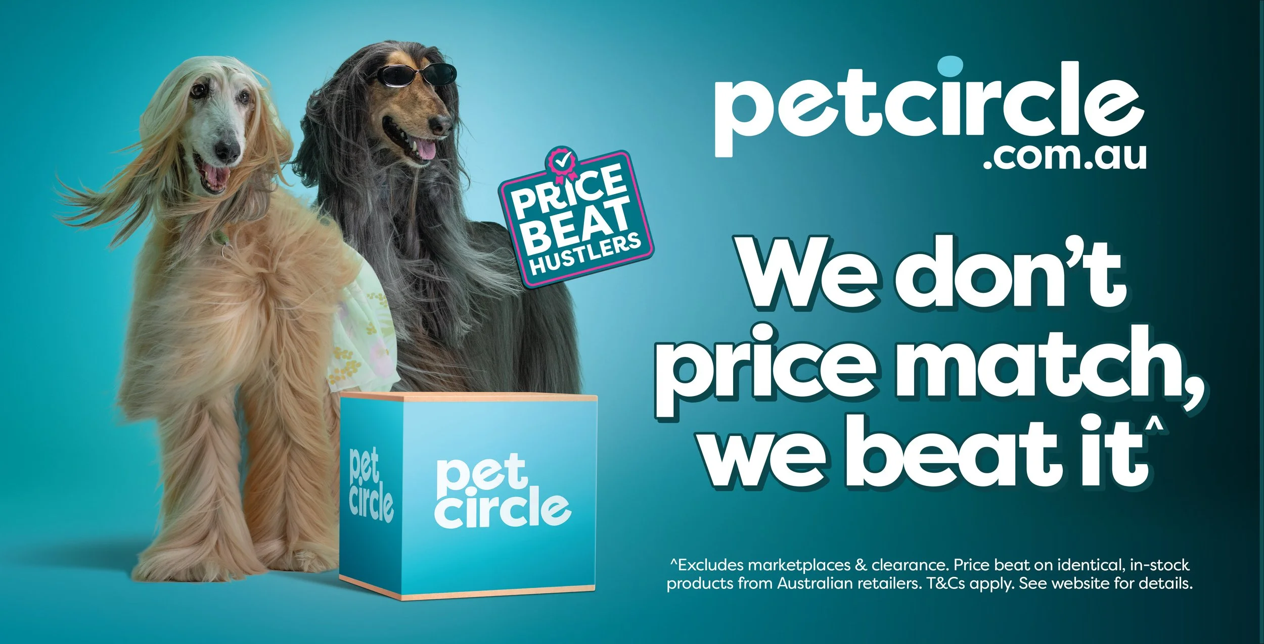 Pet circle bus campaign 2026 photographer nick gascoine sydney australia commercial photographer 003.jpg