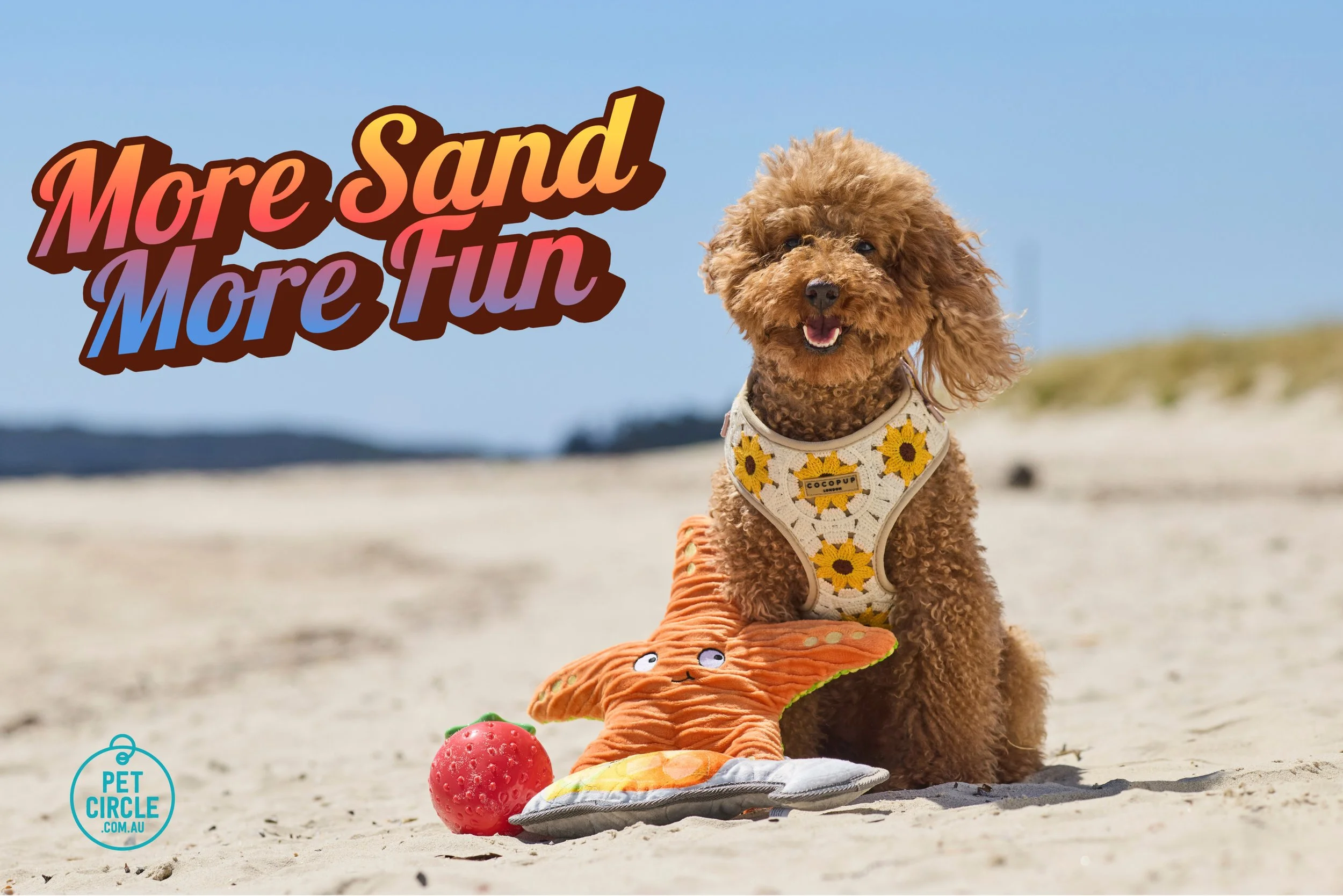 ted summer campaign.jpg