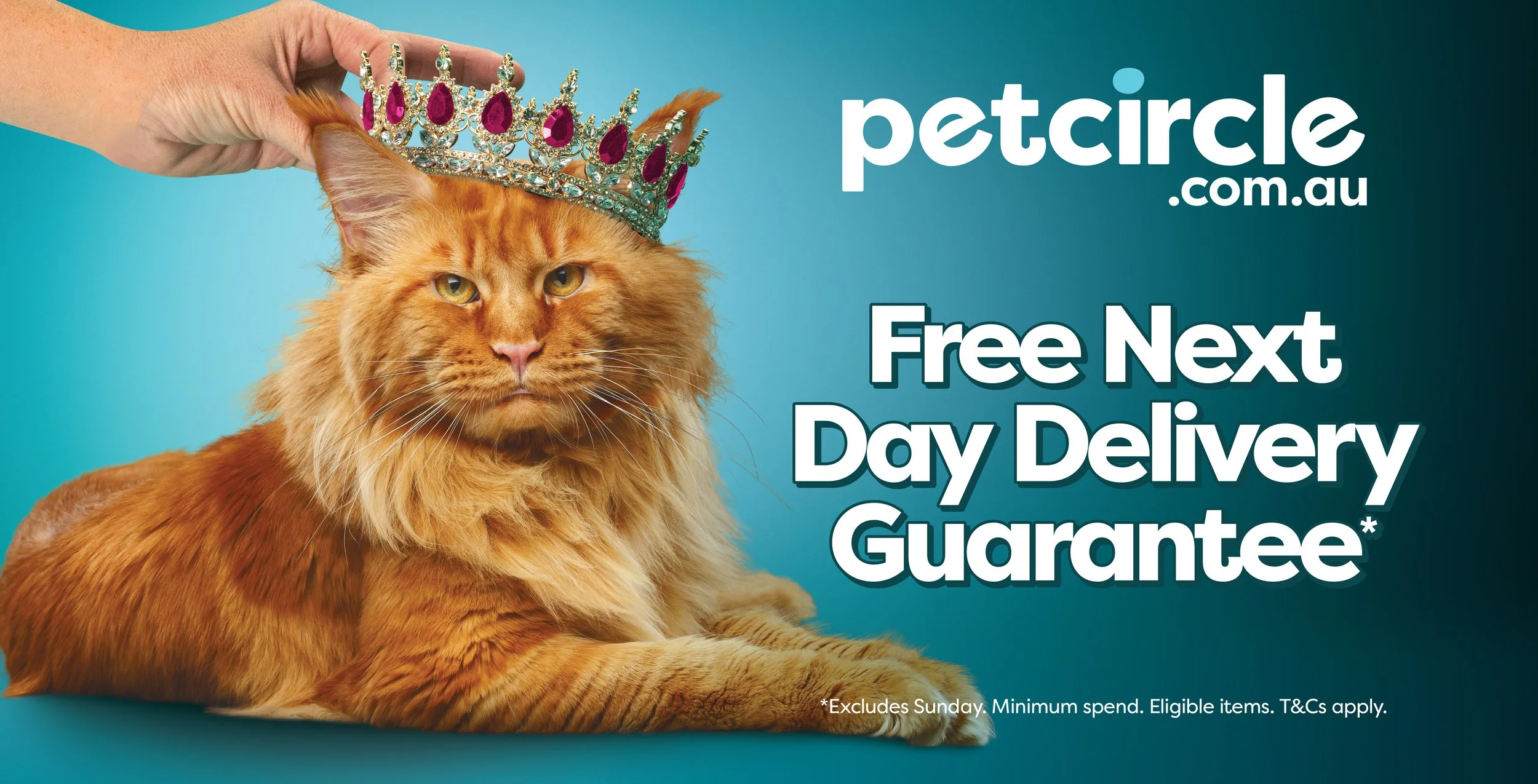 Pet circle bus campaign 2026 photographer nick gascoine sydney australia commercial photographer 005.jpg