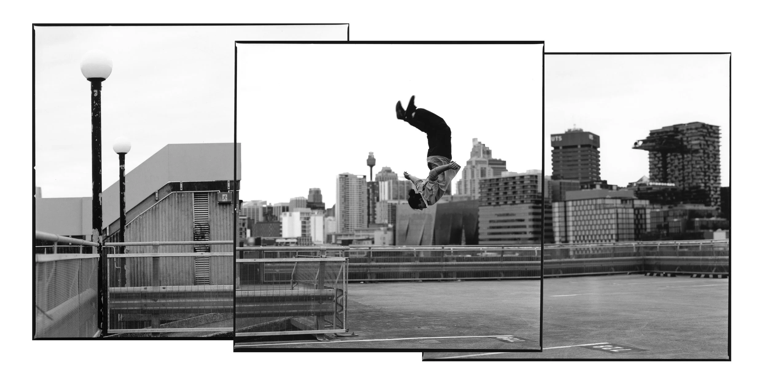 SKYLINE_FLIP.jpg