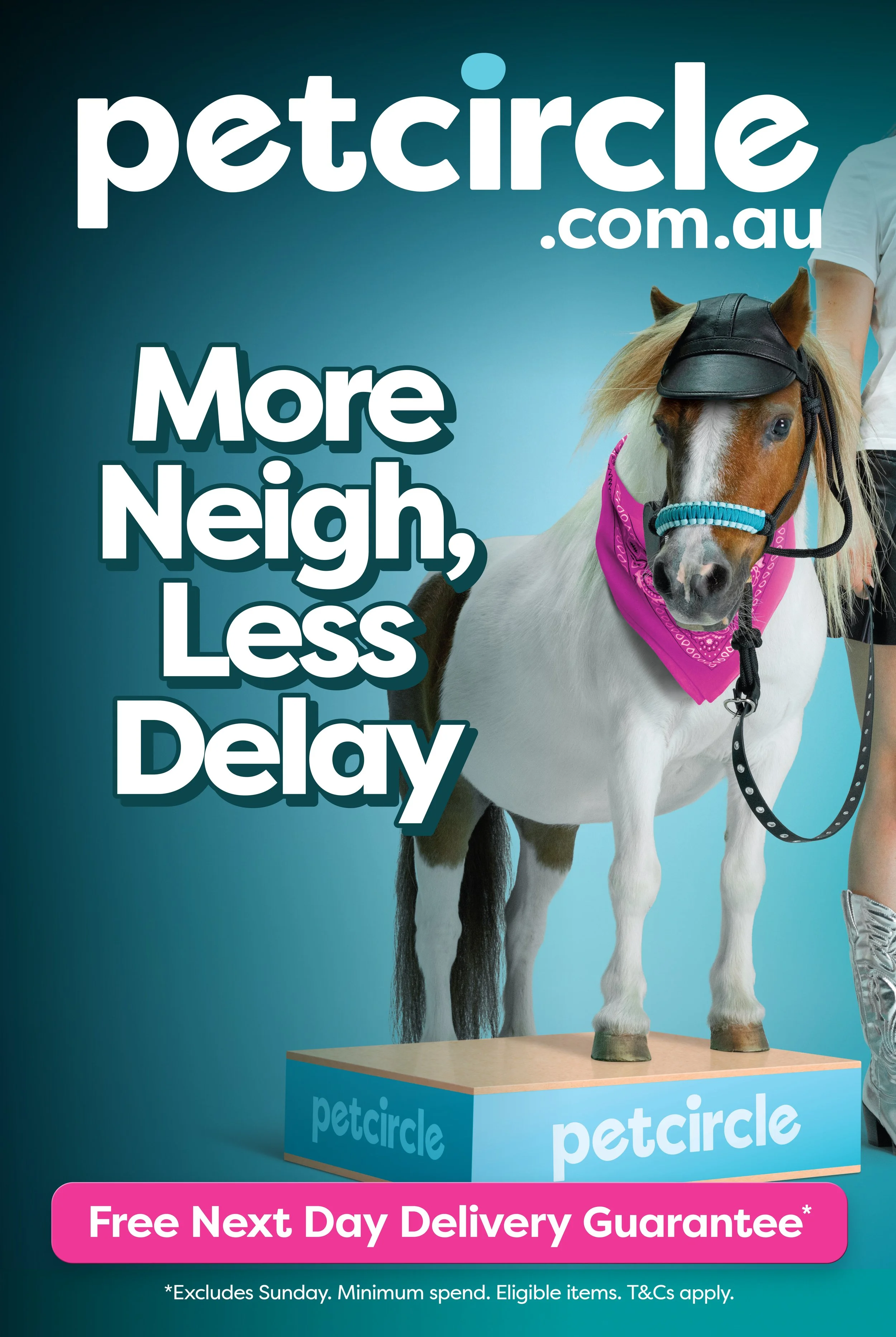 Pet circle bus campaign 2026 photographer nick gascoine sydney australia commercial photographer 007.jpg