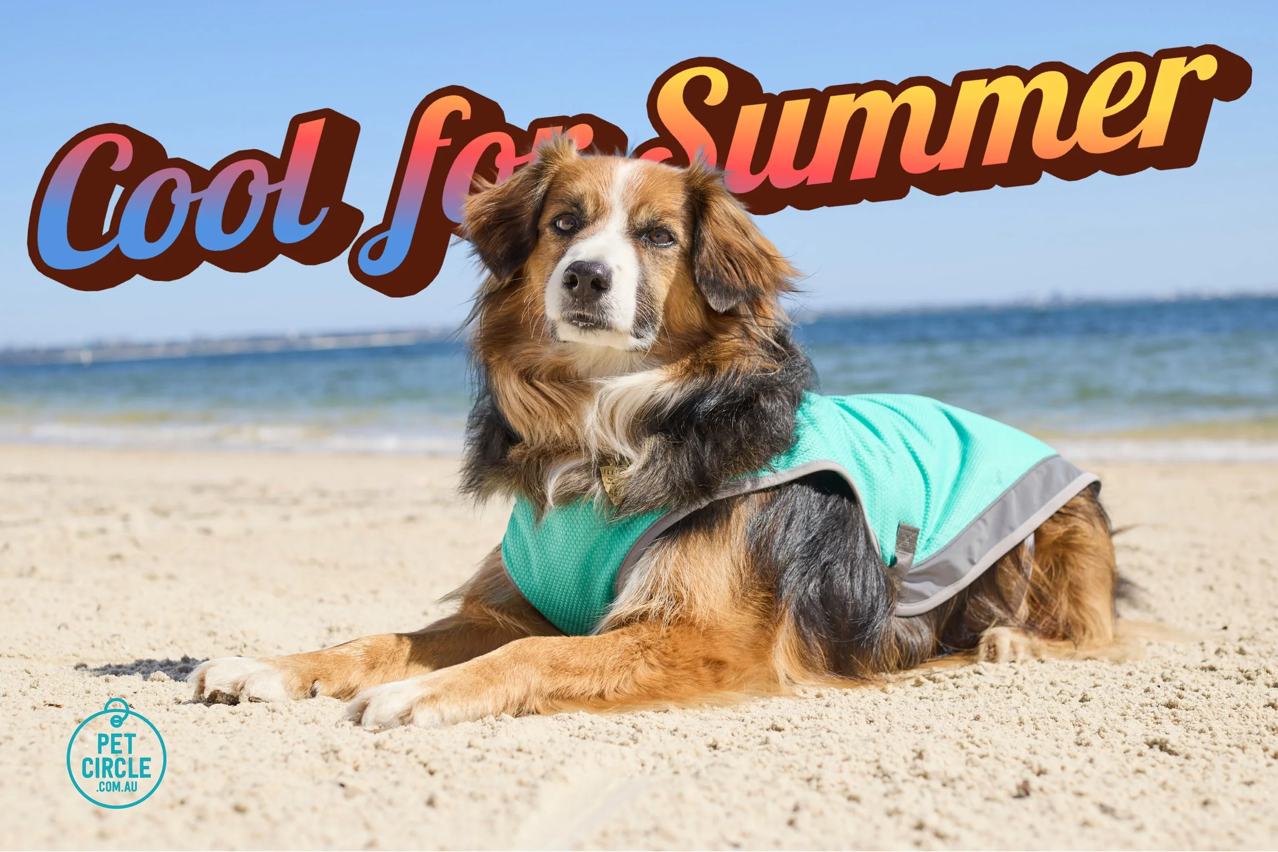 Cool for summer_01.jpg