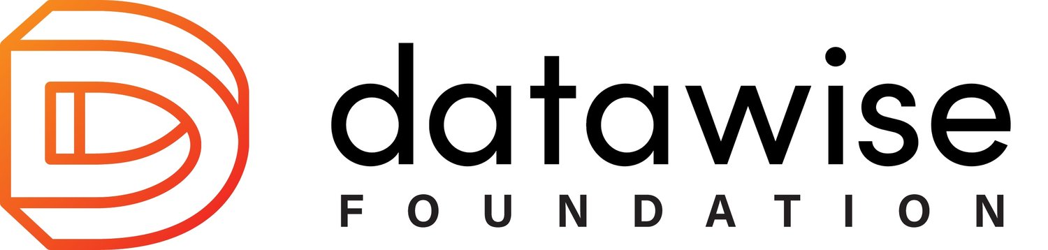 DataWise Foundation