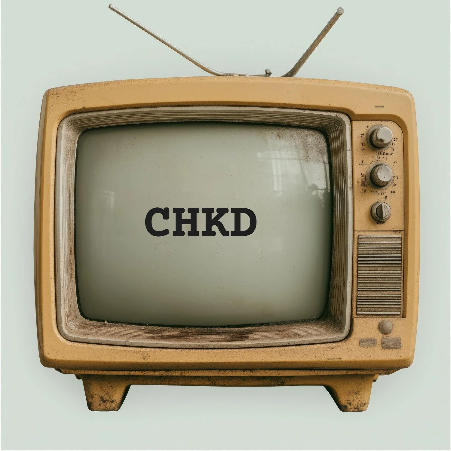 CHKD_TV.JPG