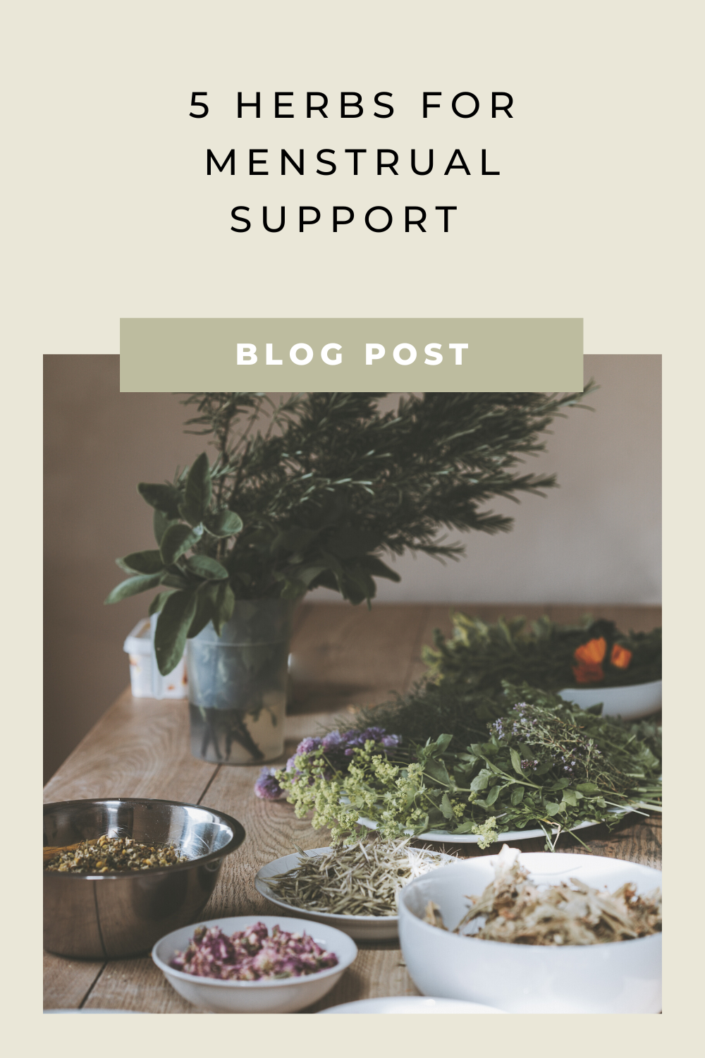 5 Herbs for Menstrual Support 