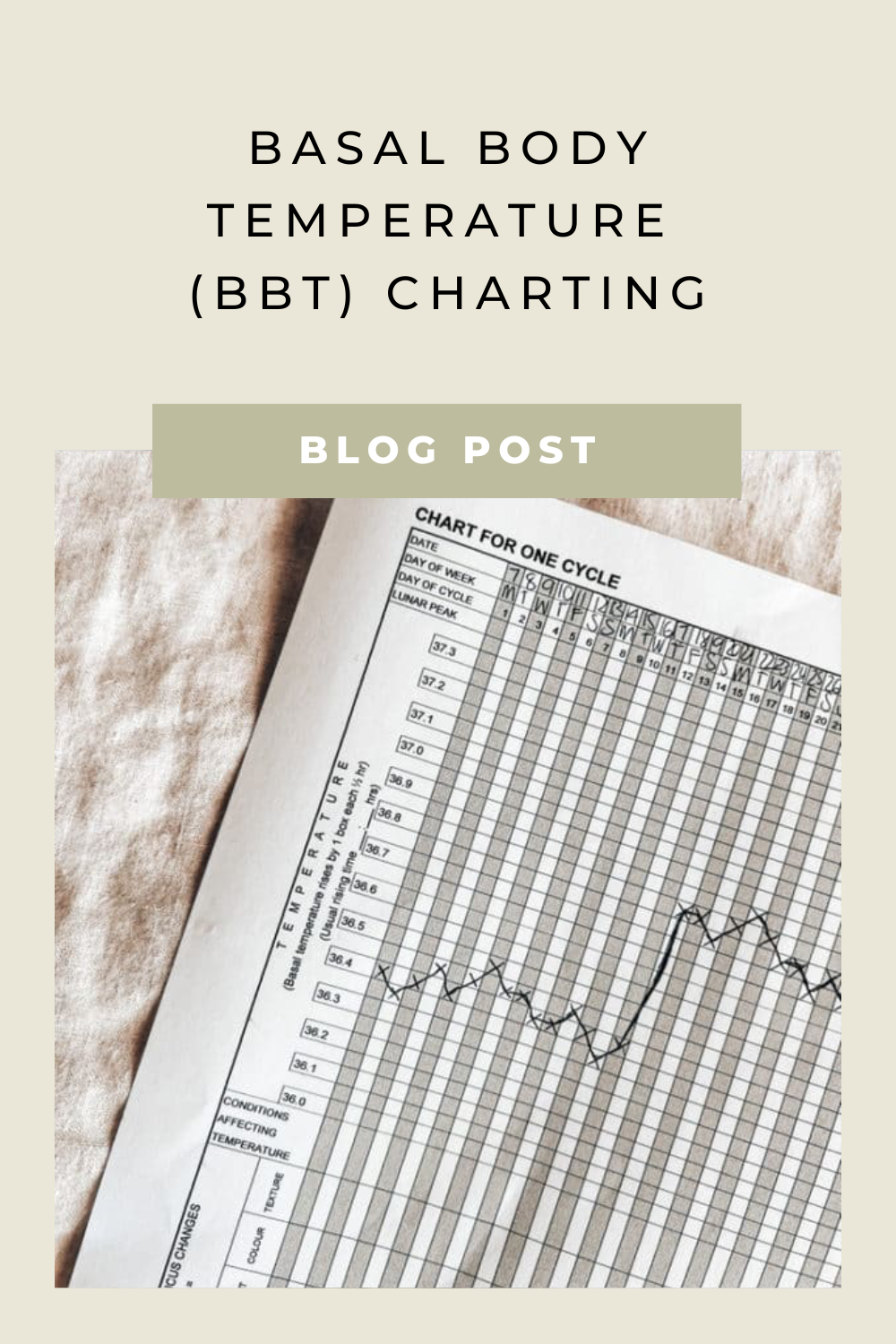 Veronika - Blog Posts-10.png