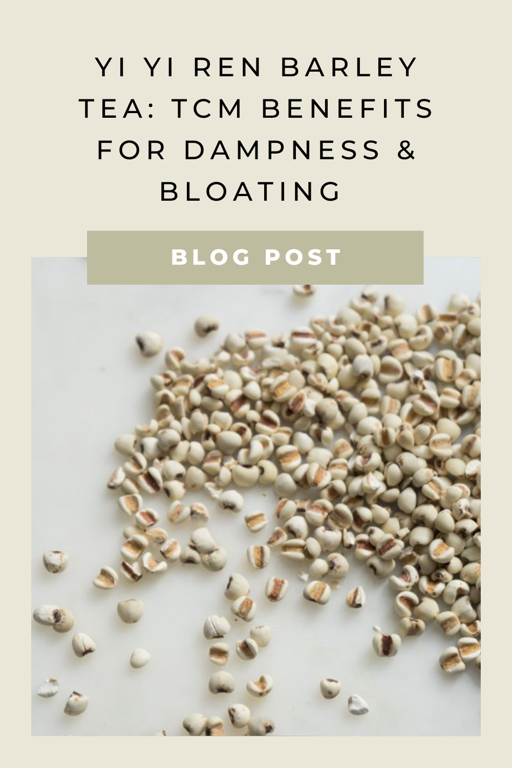 Veronika - Blog Posts-9.png