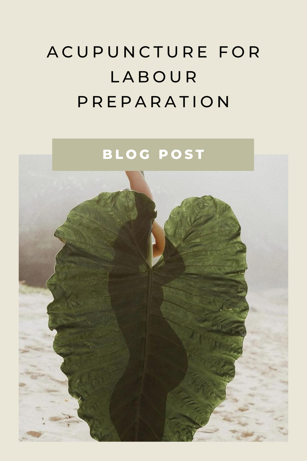 Acupuncture for Labour Preparation: A Natural Approach to Birth