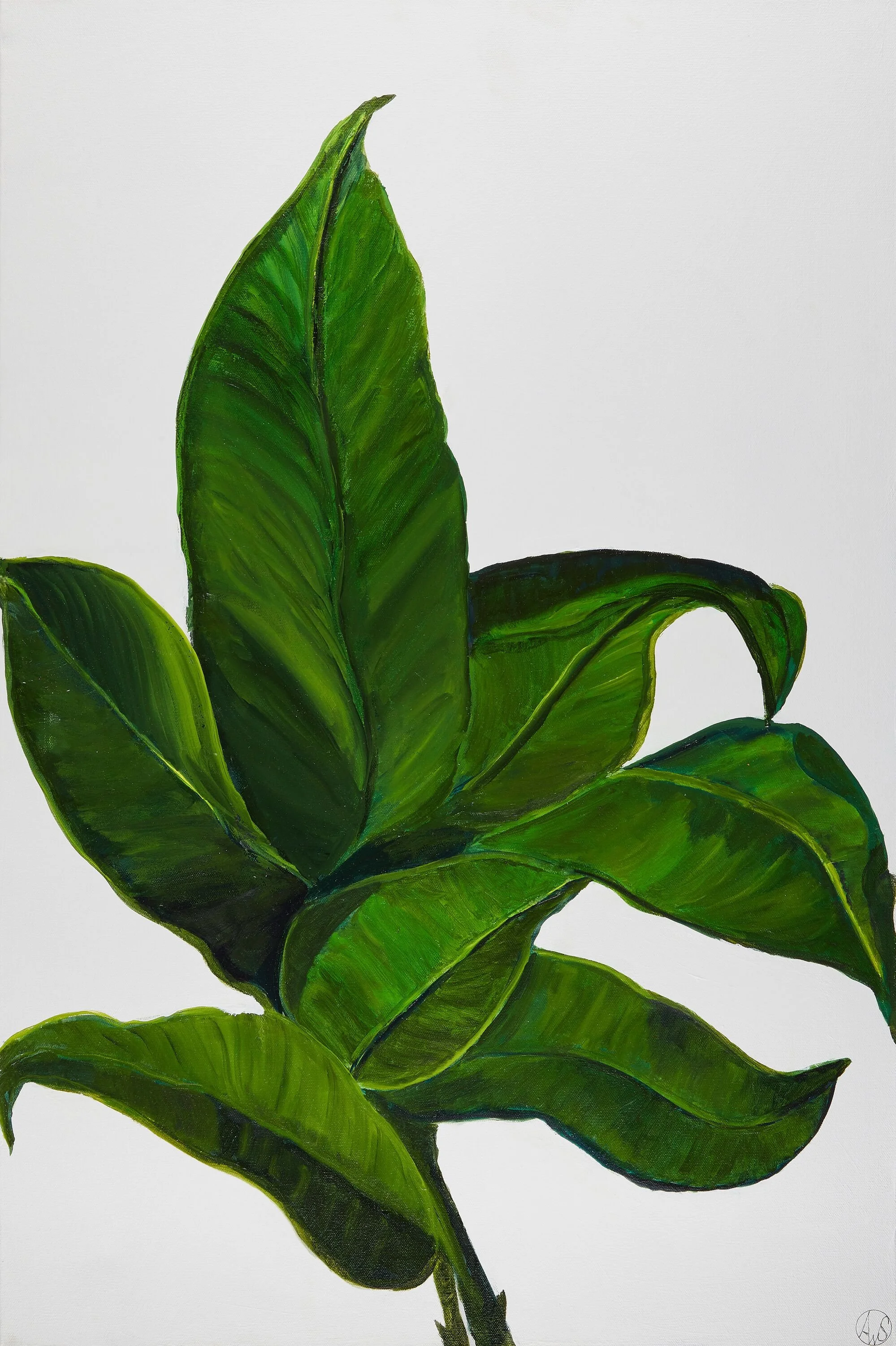 bananna leaf 22.jpeg