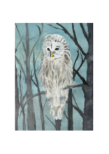 500X700 OWL.png