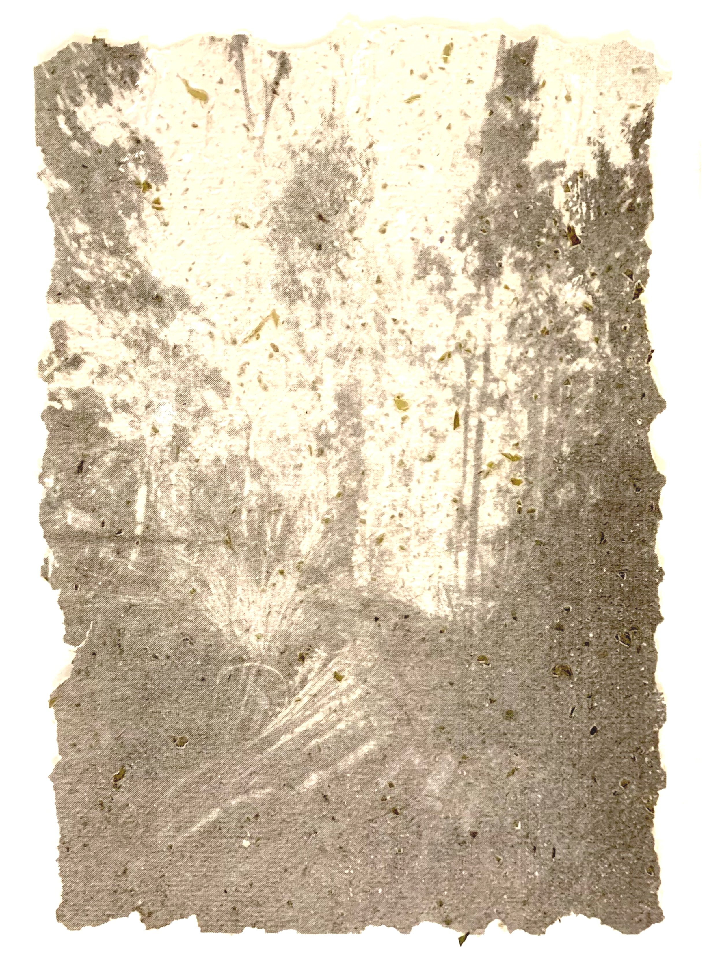 86DBA6EA-EF1B-43EE-AE2B-94929070A643.jpg
