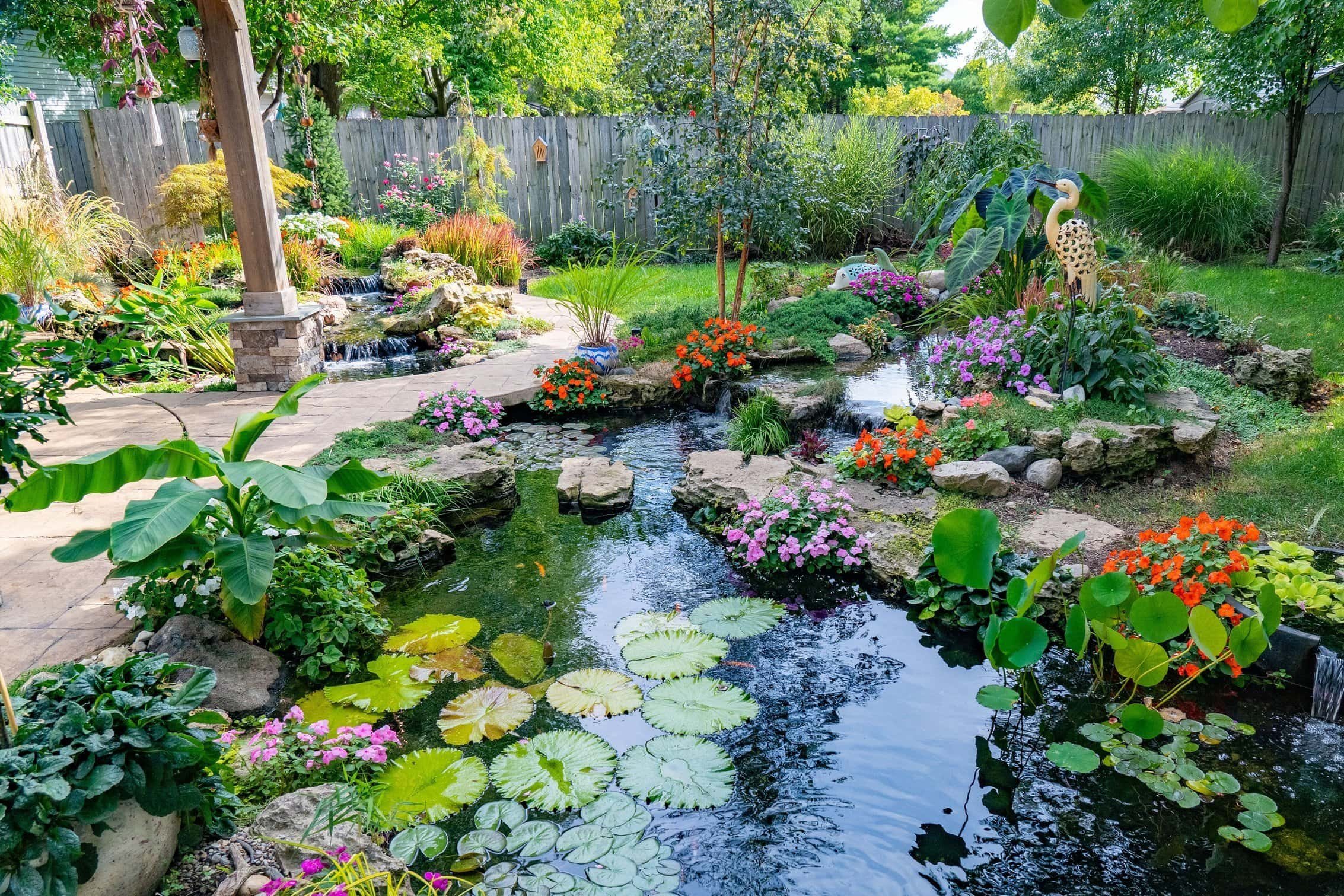 Tropical Lily Pond