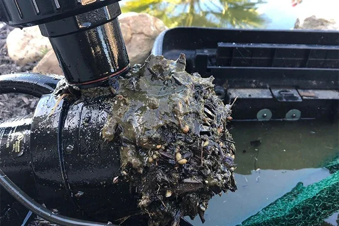 Water Feature Repairs