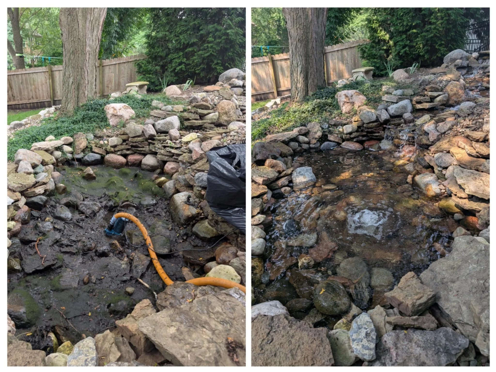 Pond Cleaning