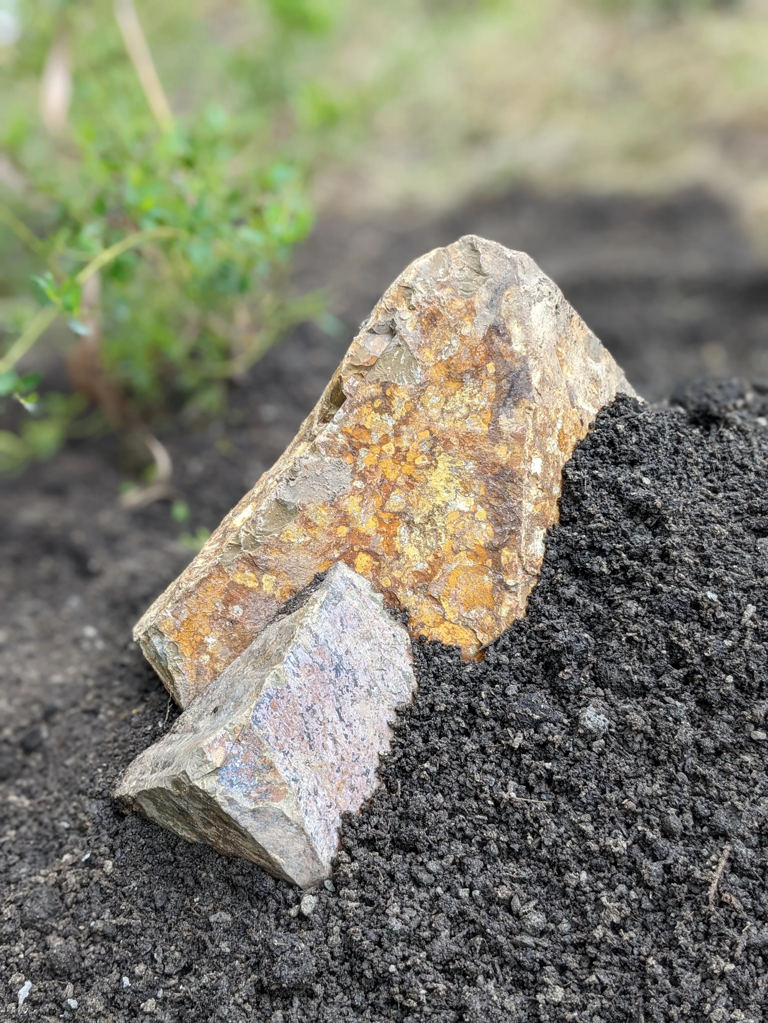 rock art.jpg