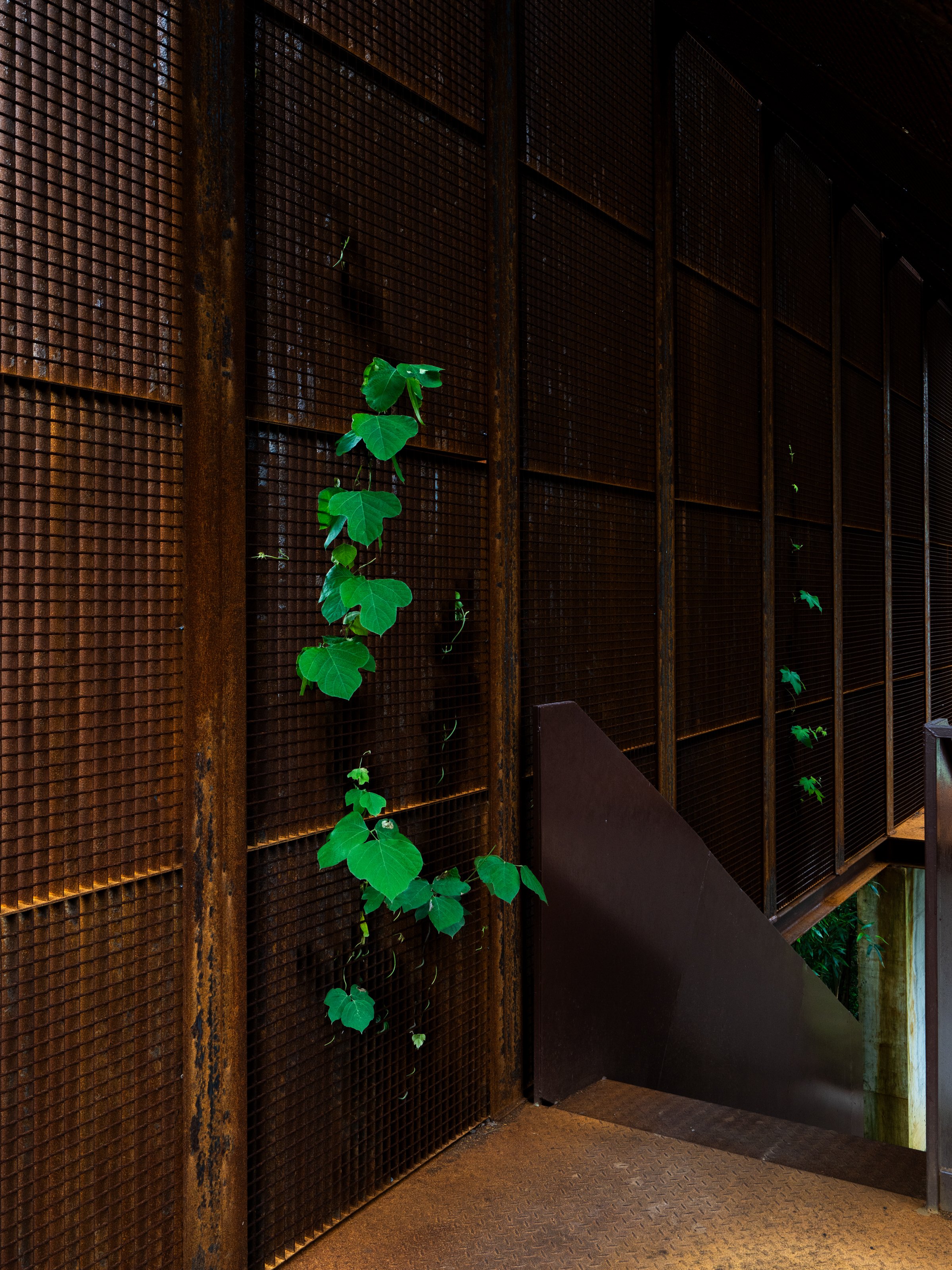 15 (photo credit_ZHANG Miaojie).jpg