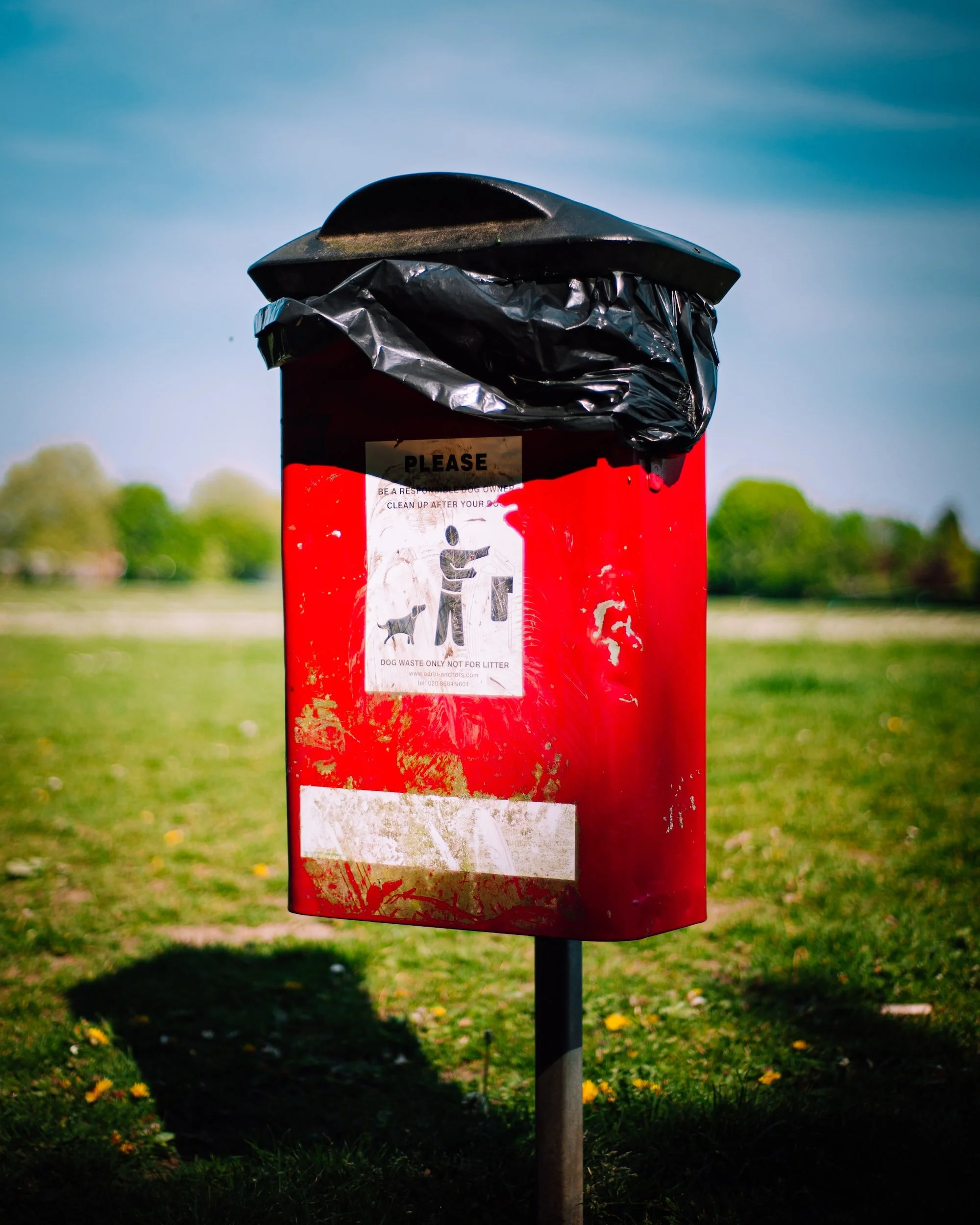 How To Dispose Of Dog Poo The Green Way — Soulfully Green