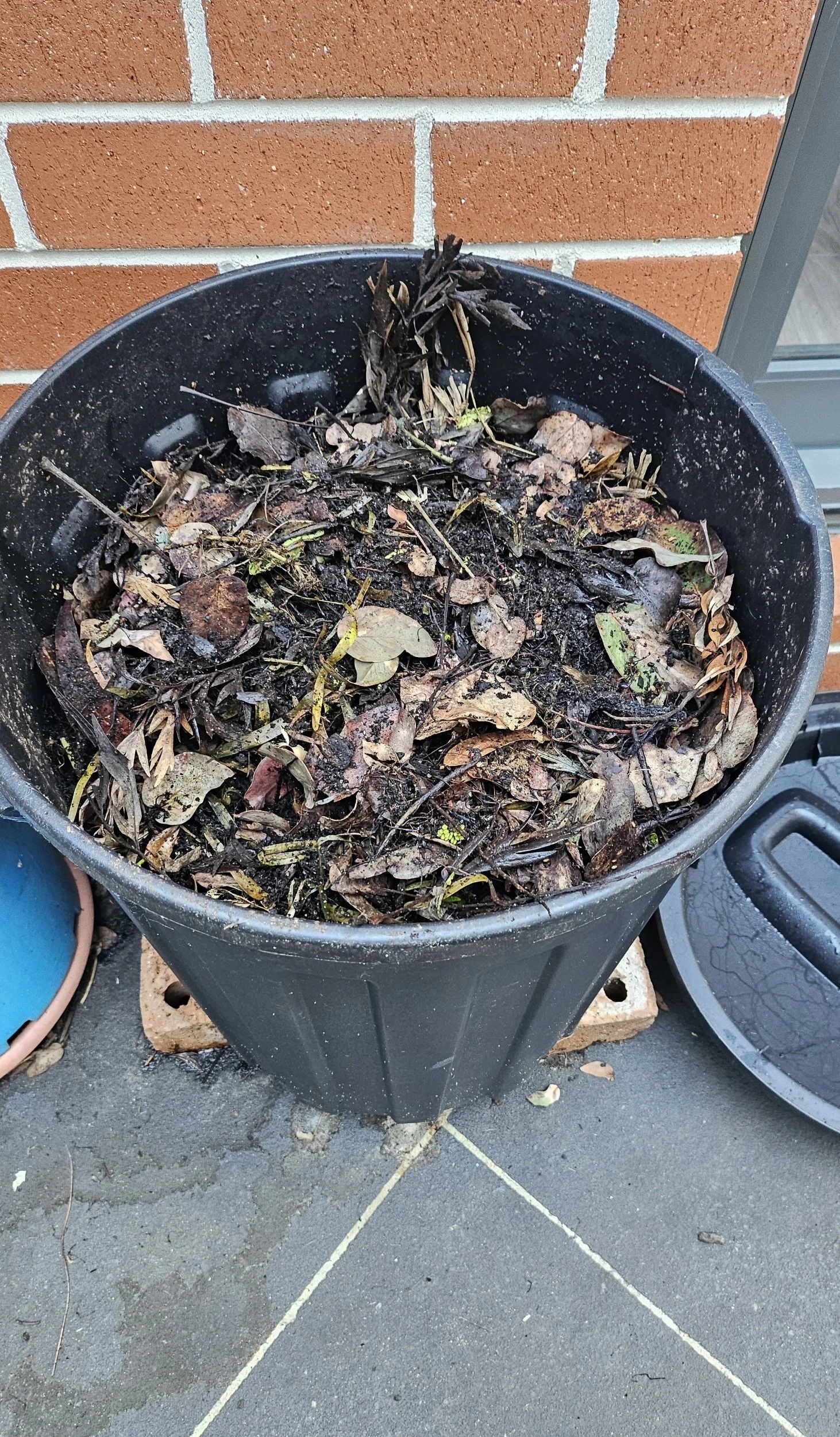 How to make a compost bin at home, perfect for small spaces