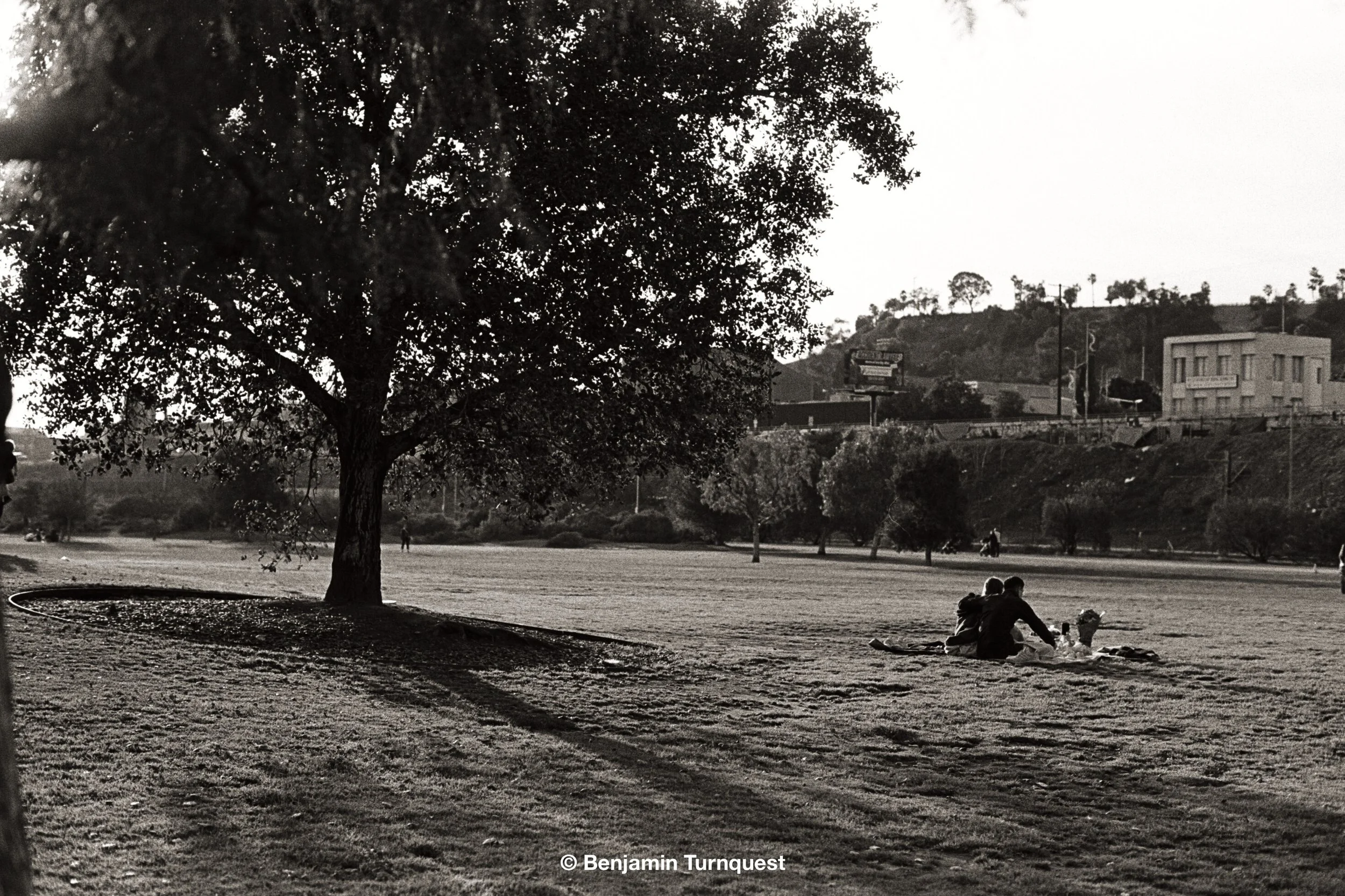 runningamidst_still-15.jpg