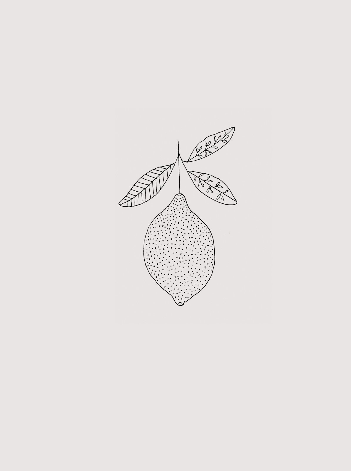 lemon2.jpeg