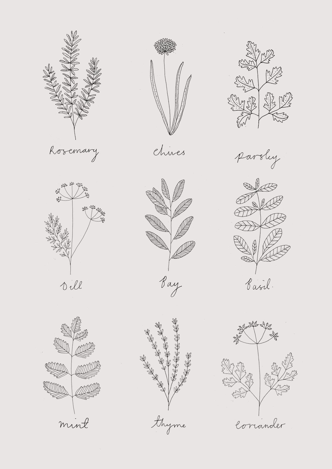herb+print.jpeg