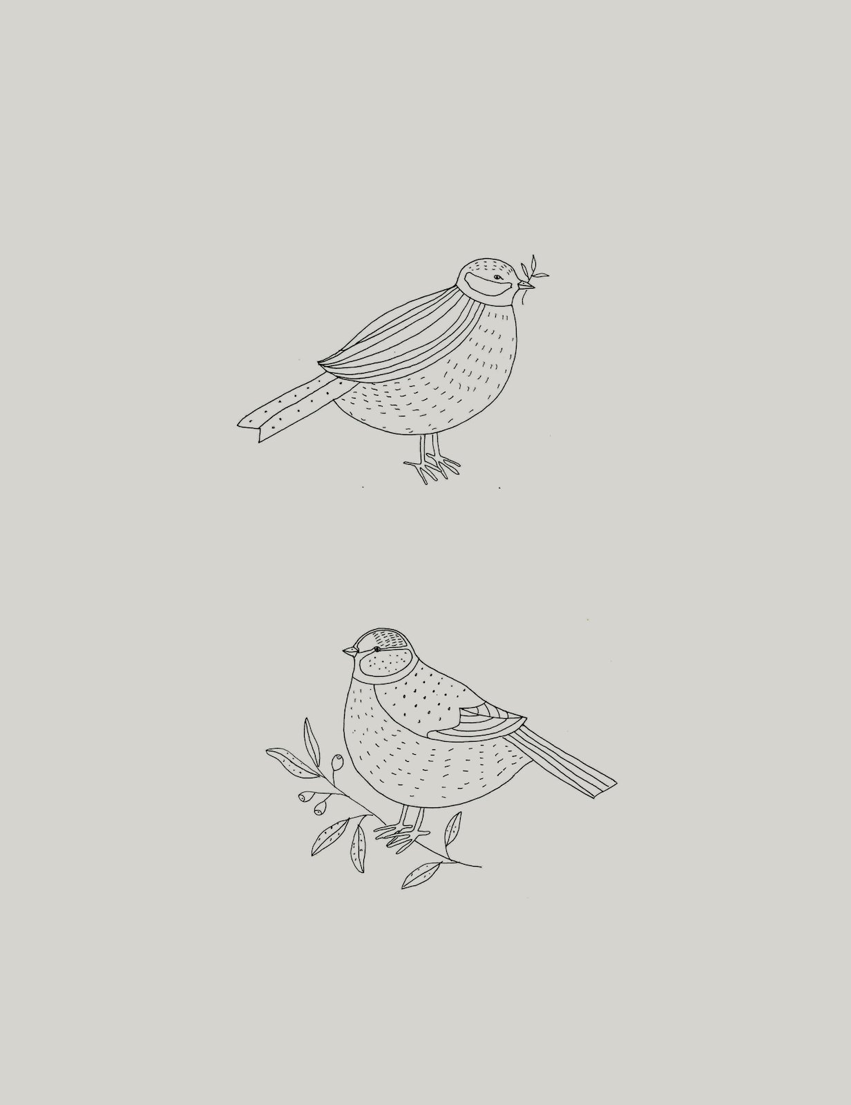 birds.jpeg
