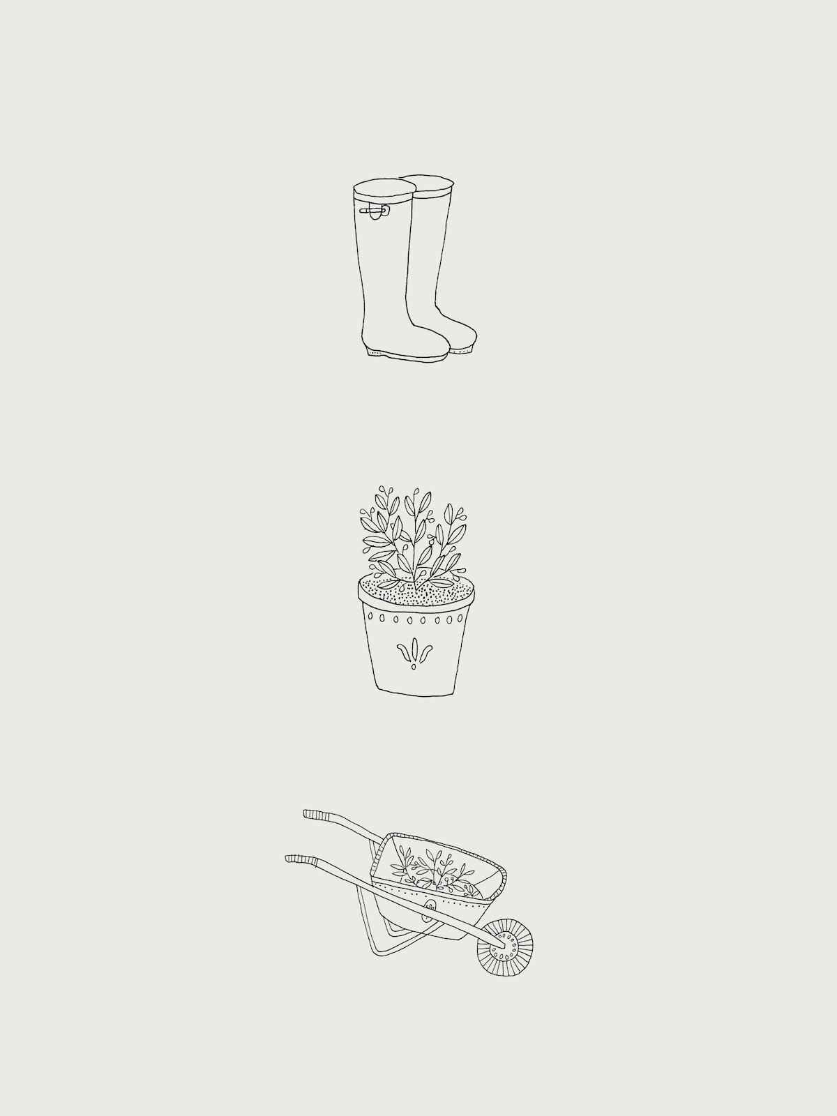 garden.jpeg