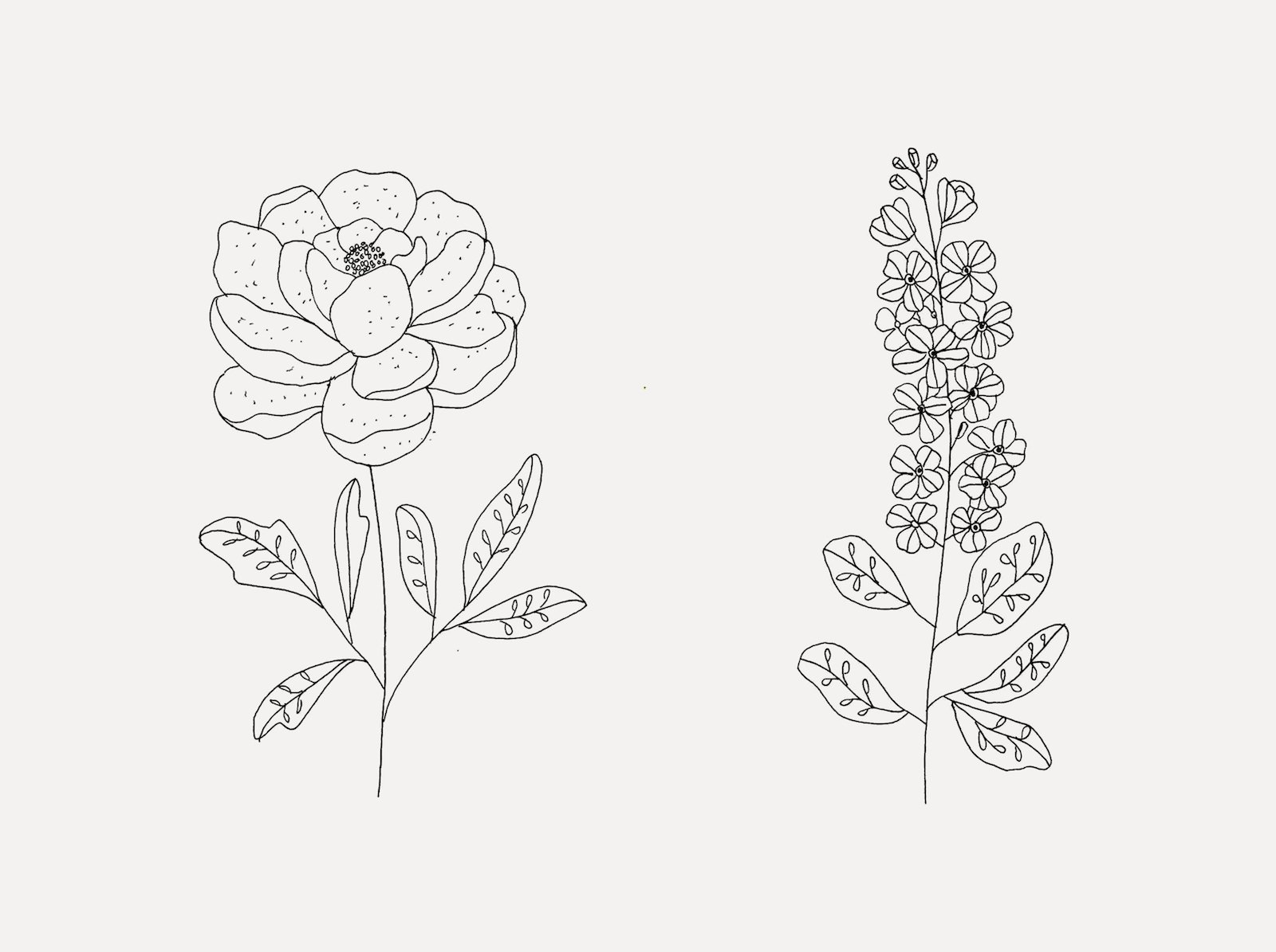 flowers.jpeg
